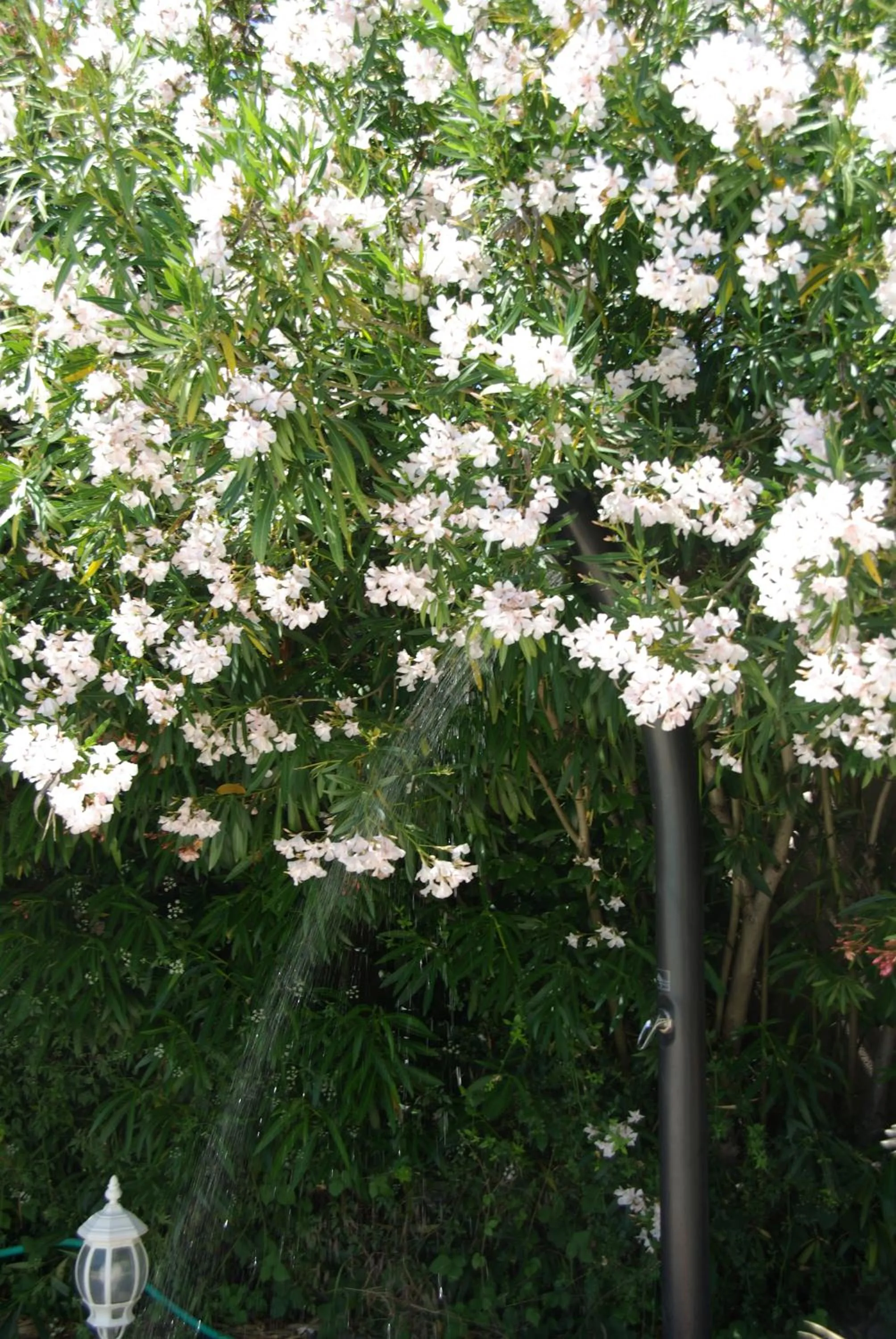 Swimming pool in Logis Hôtel La Bastide des Monges
