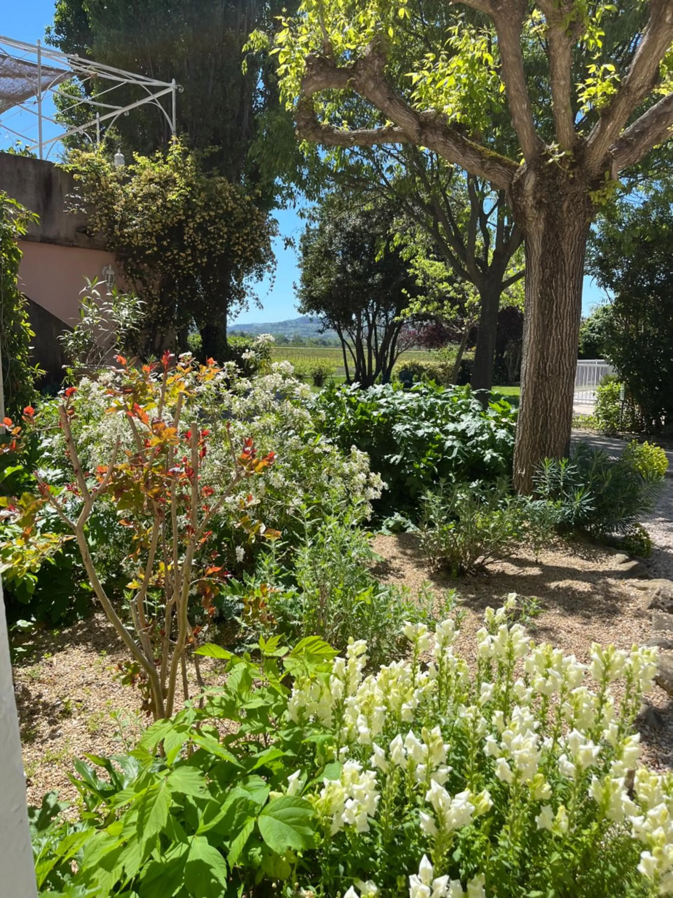 Garden in Logis Hôtel La Bastide des Monges
