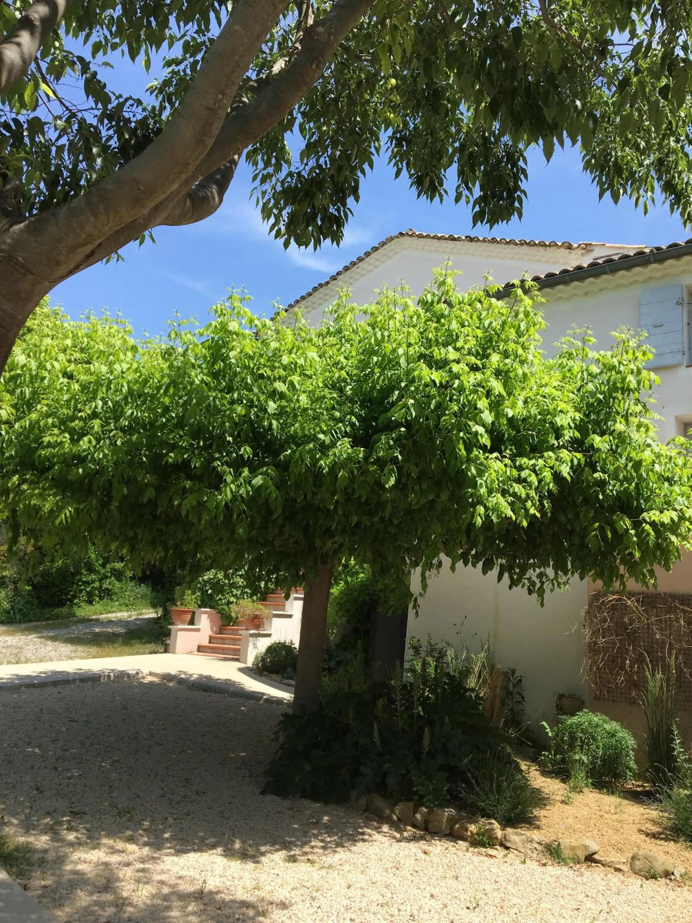 Garden view in Logis Hôtel La Bastide des Monges