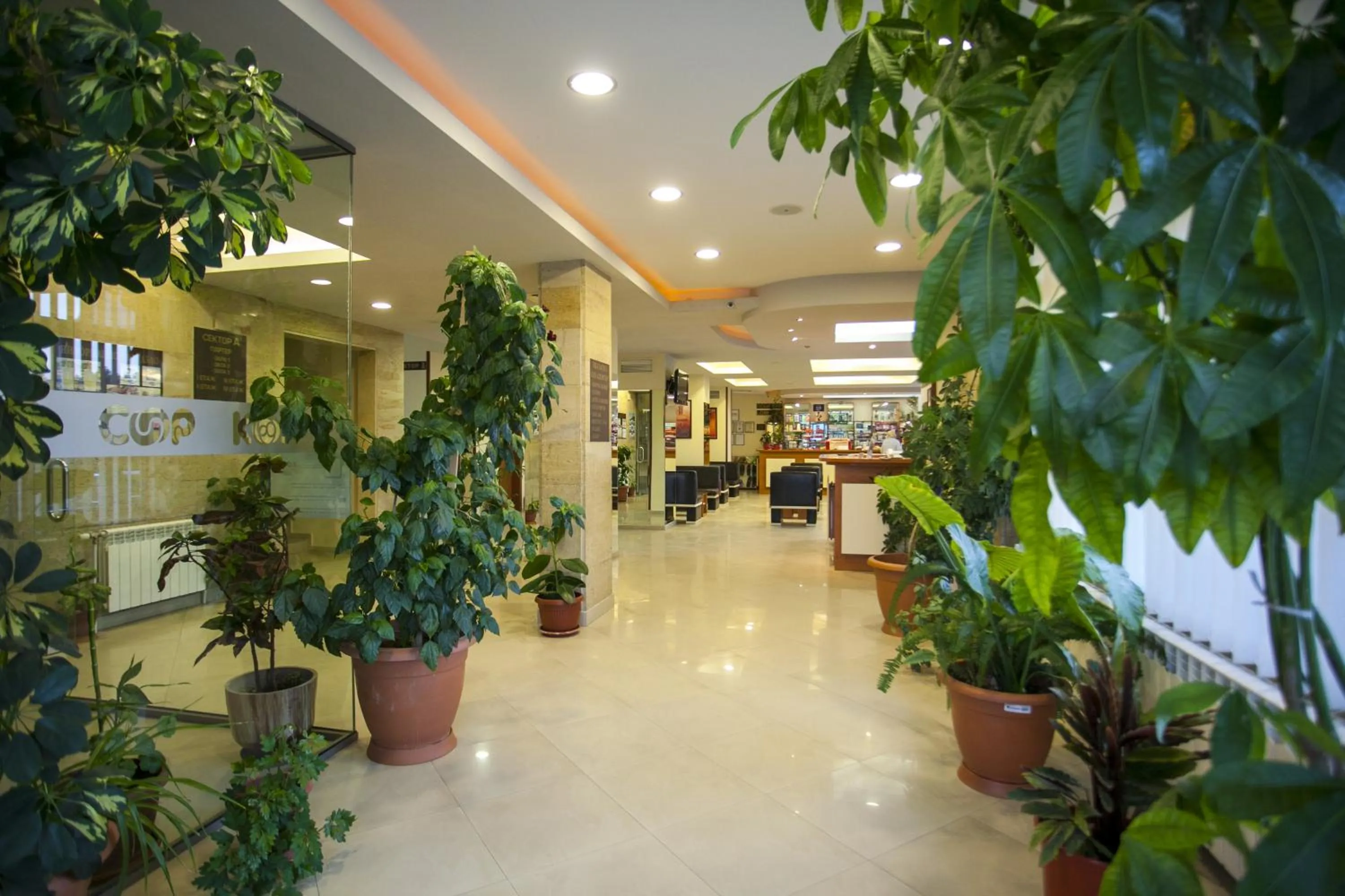 Lobby or reception in Relax Coop Hotel