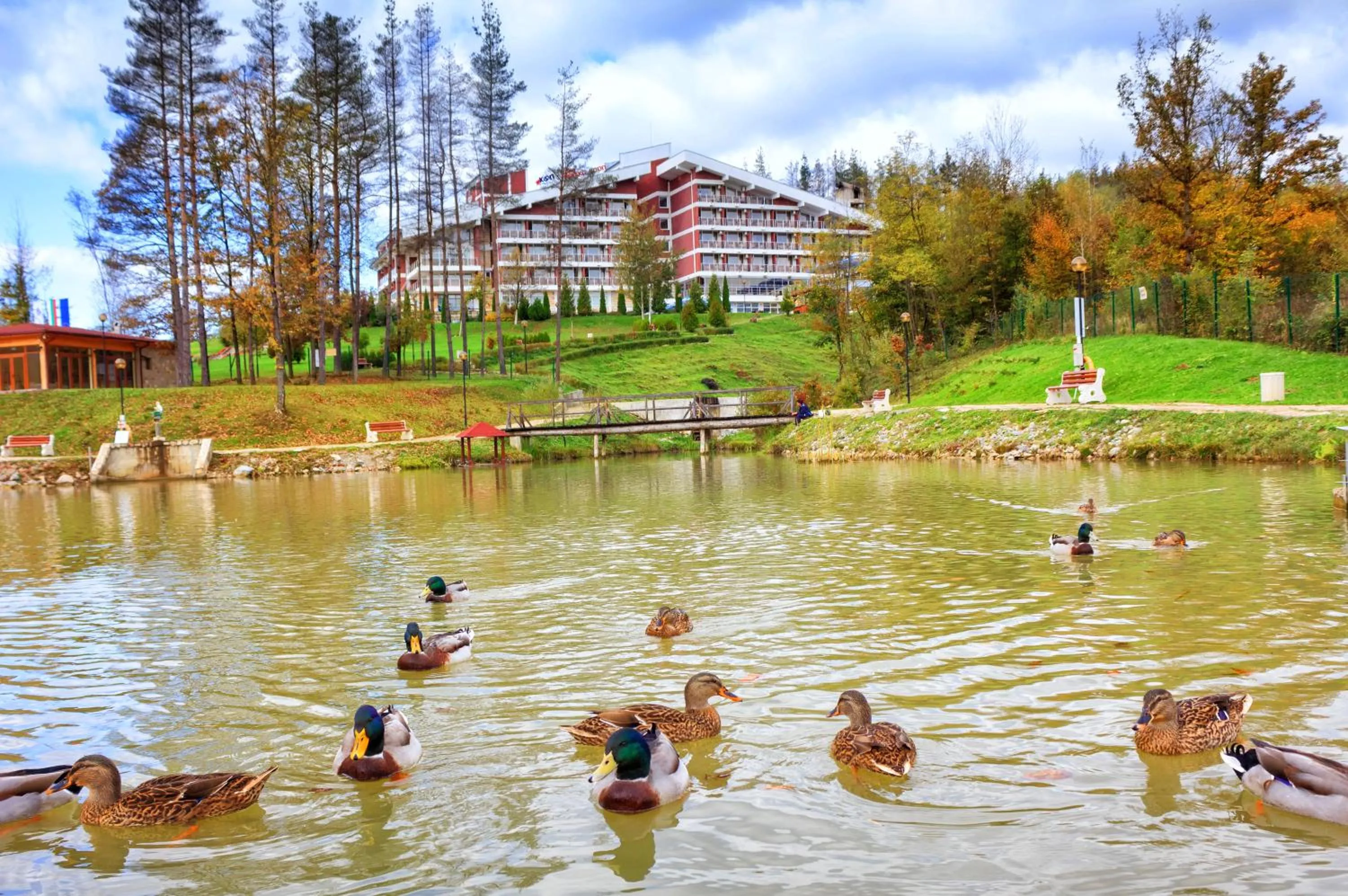 Fishing in Relax Coop Hotel