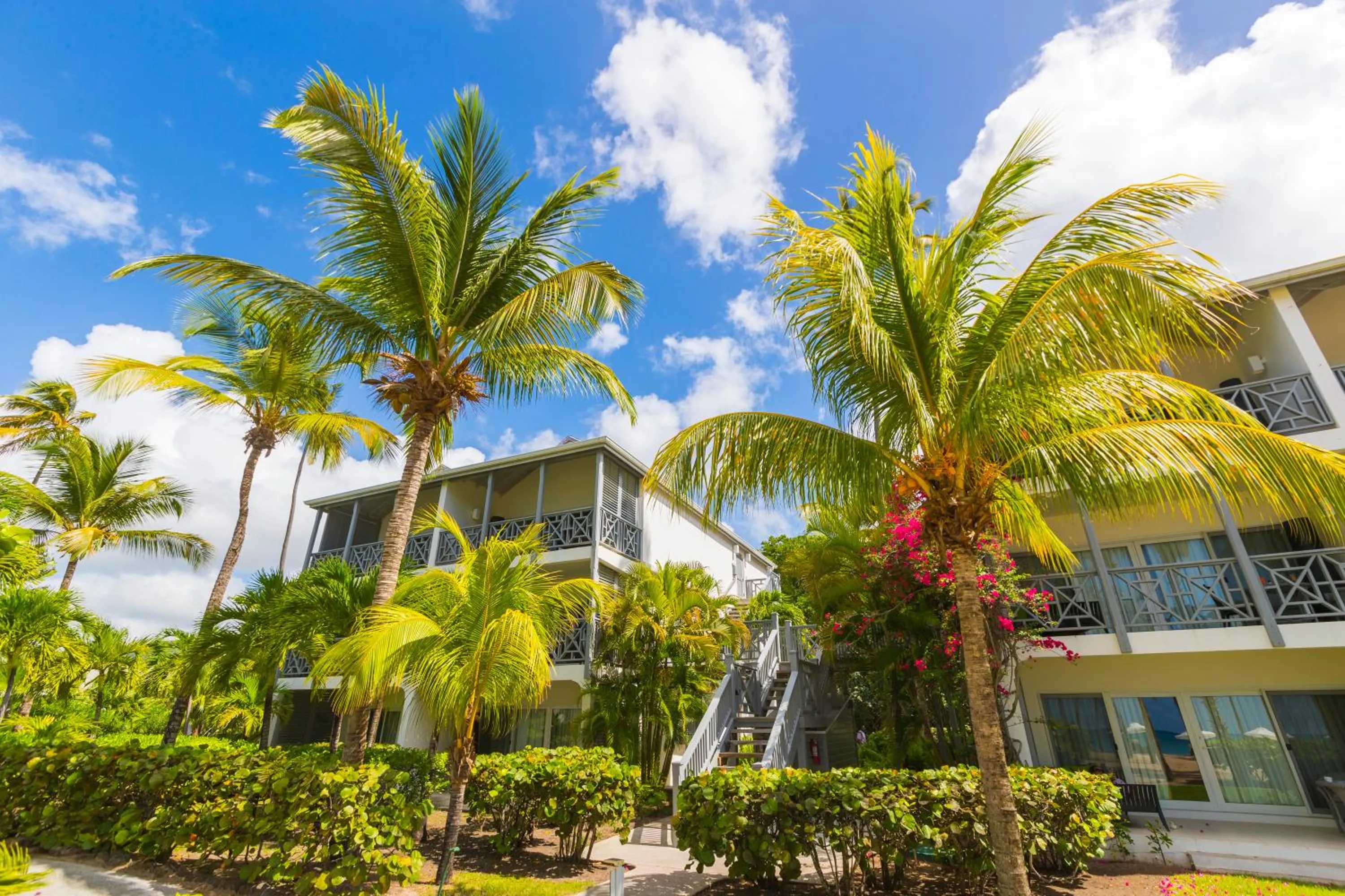 Garden in Carlisle Bay
