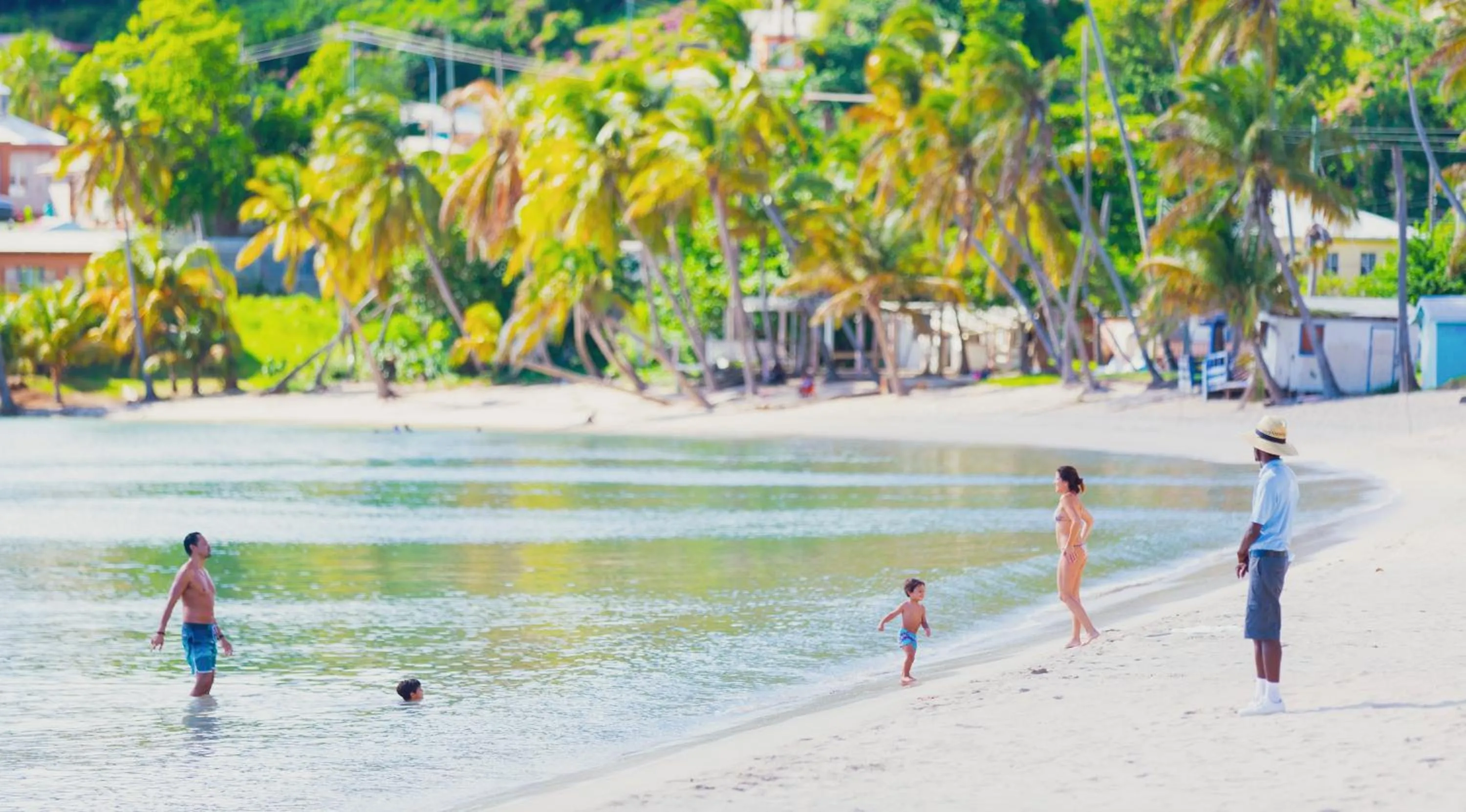 Natural landscape in Carlisle Bay