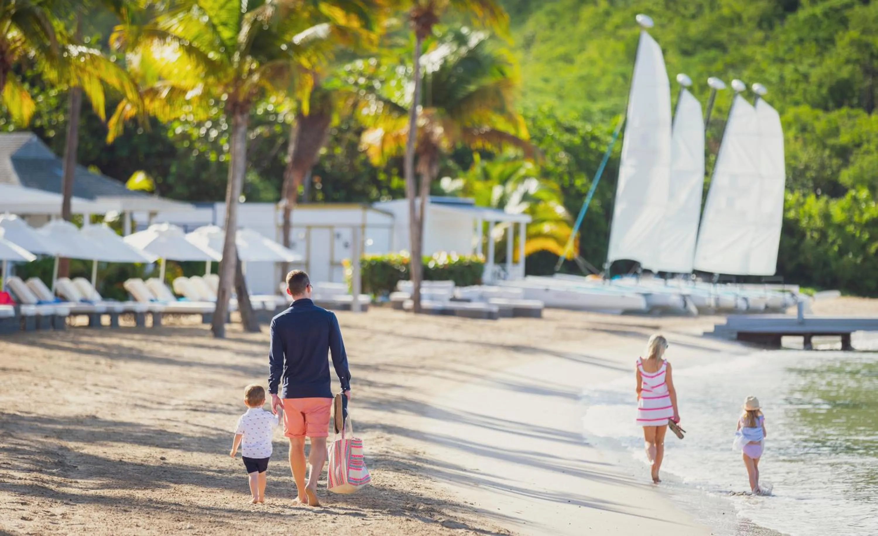 Beach in Carlisle Bay