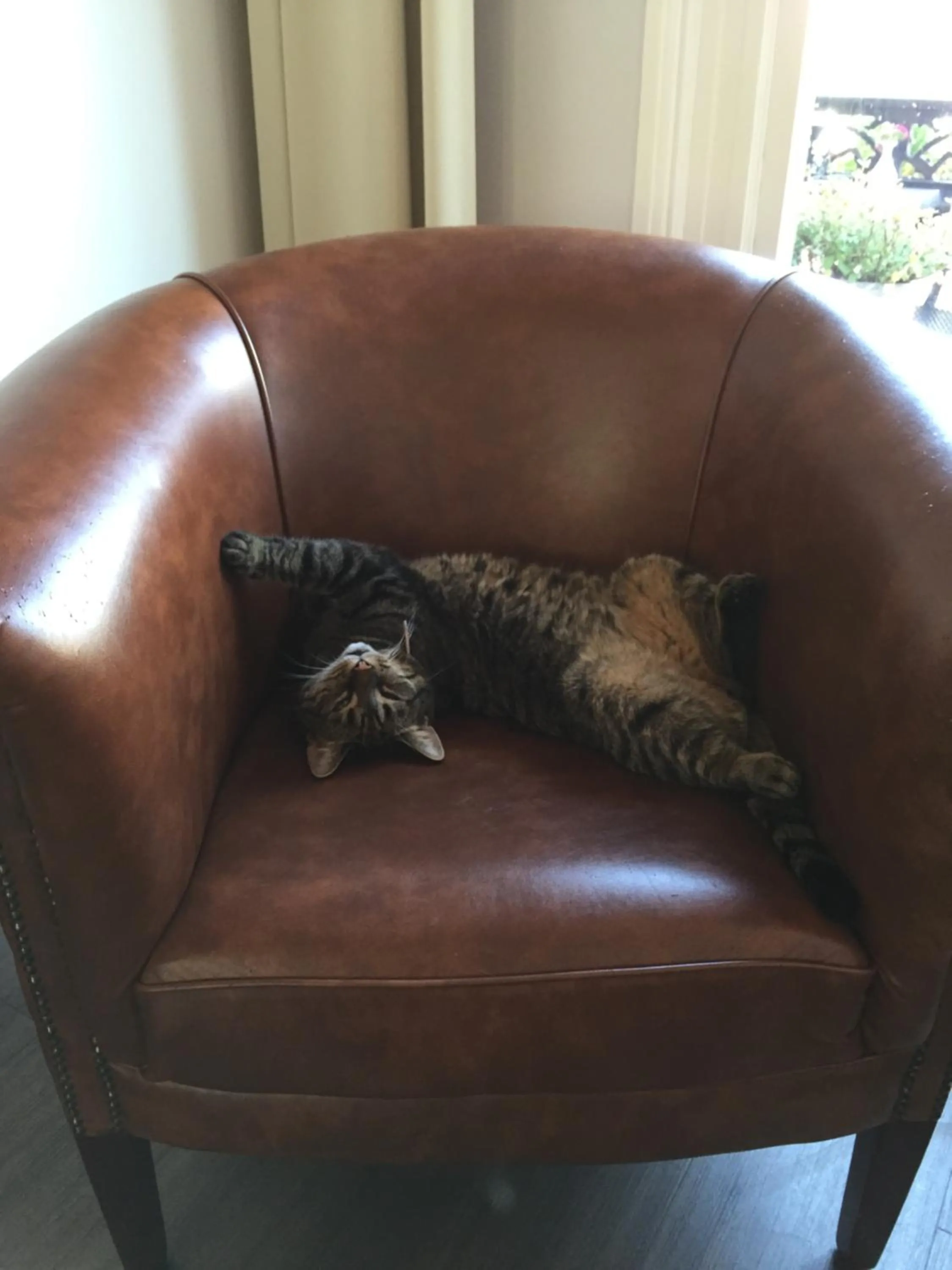 Property building in Hotel Clemens