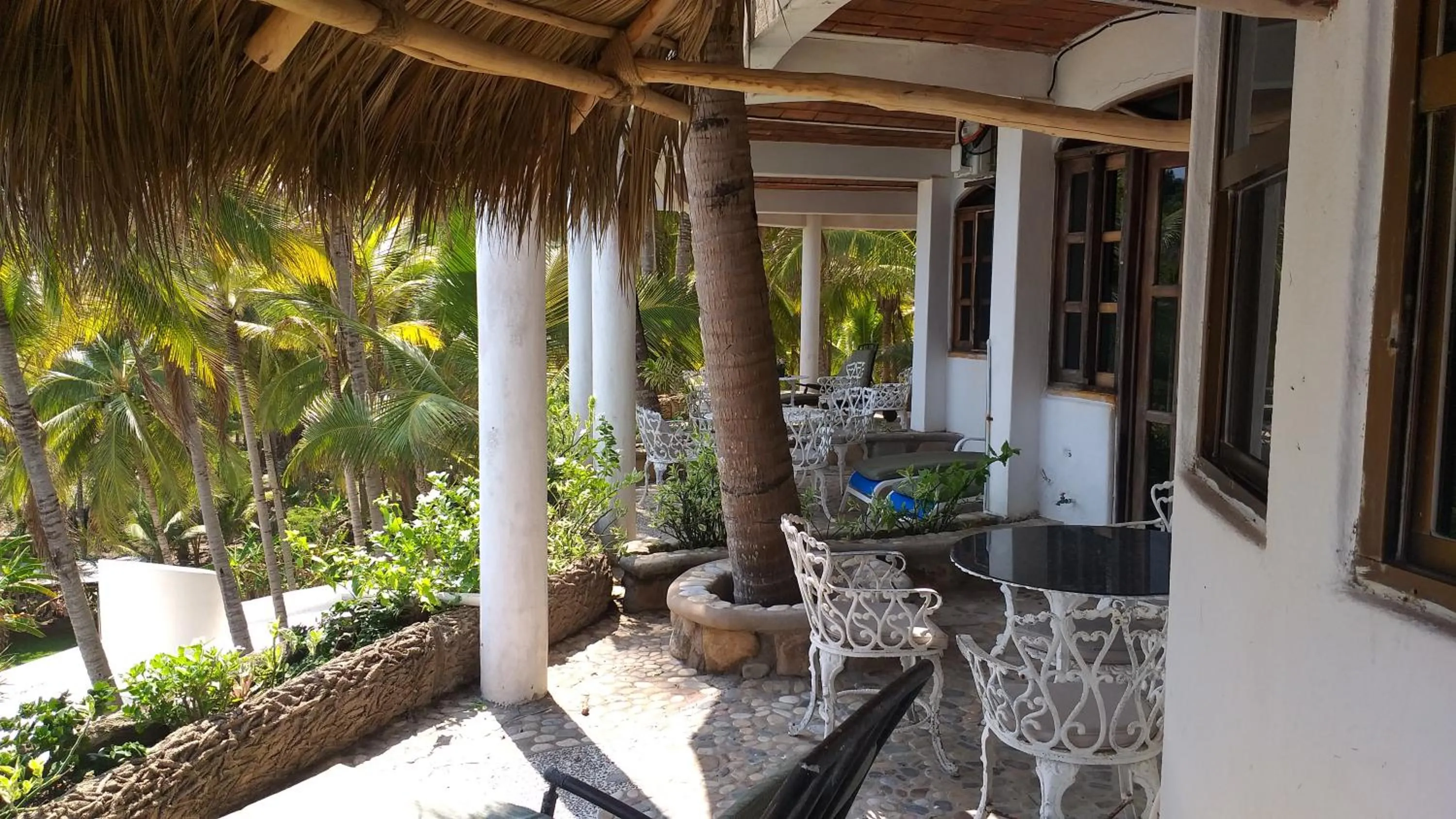 Balcony/Terrace in Bungalows Lydia San Pancho