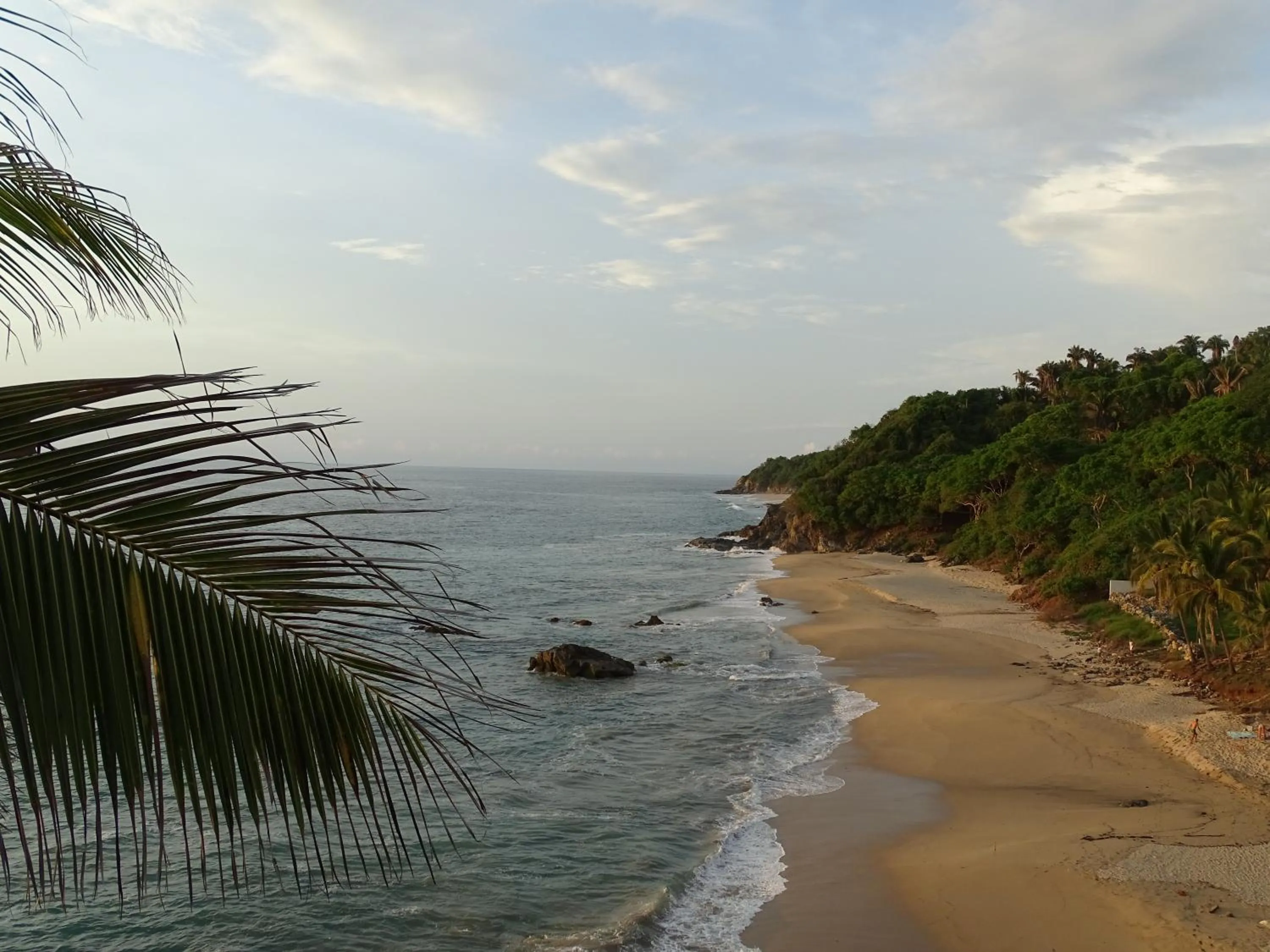 Natural landscape in Bungalows Lydia San Pancho