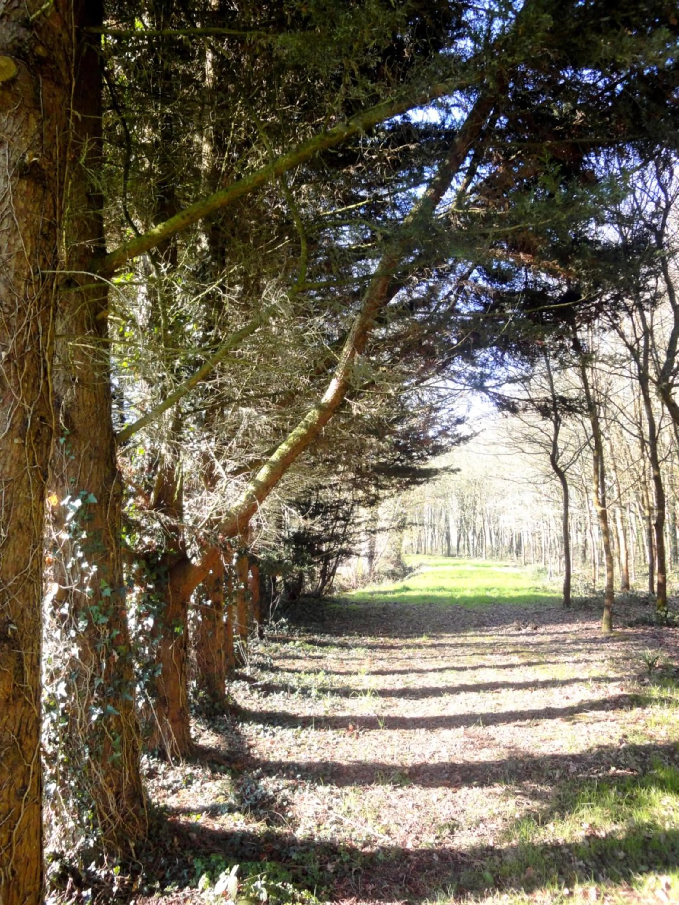 Garden in Hotel Restaurant La Grenouillère