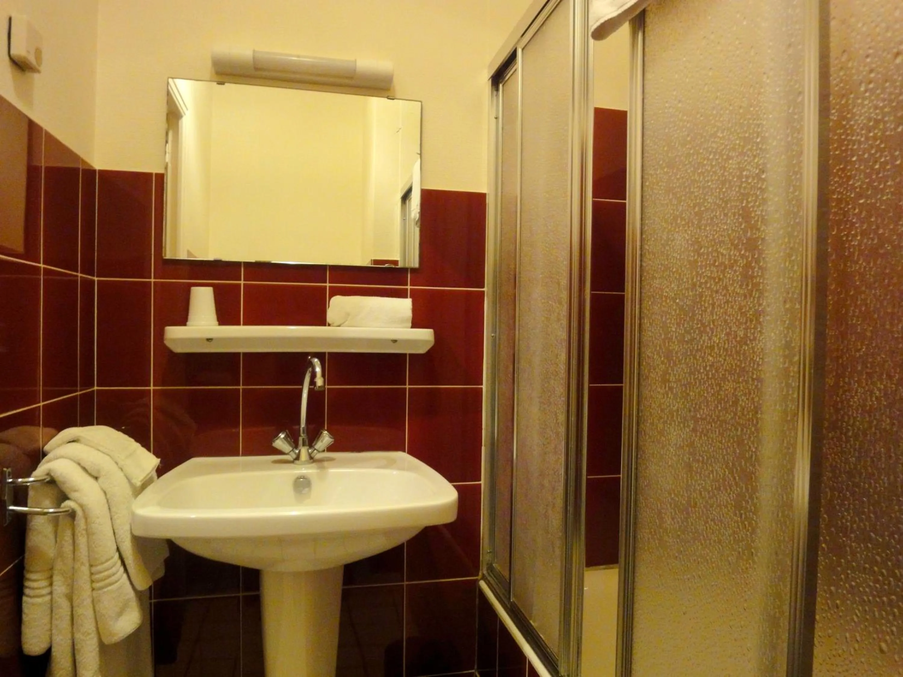 Bathroom in Hotel Restaurant La Grenouillère