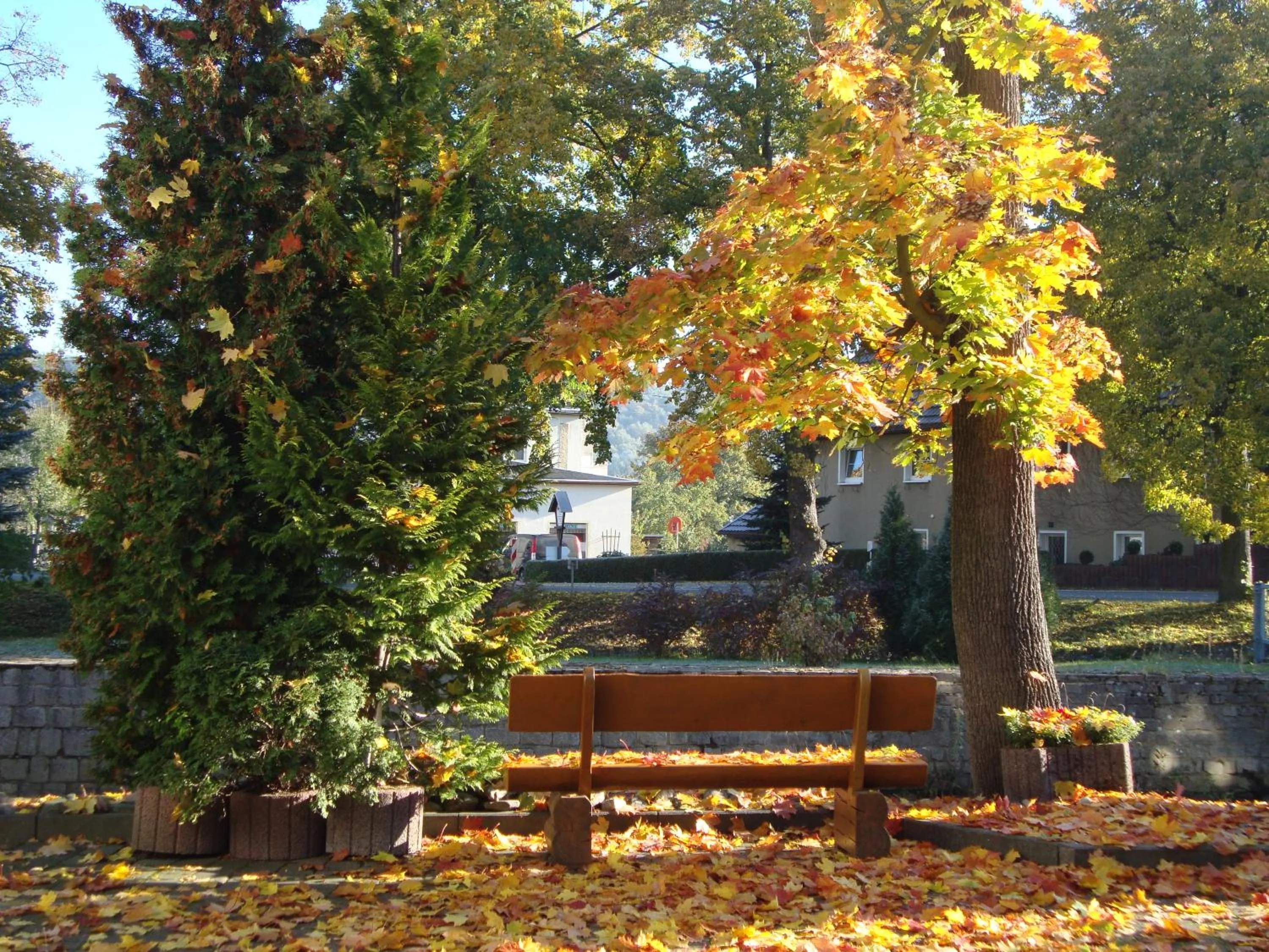 Garden in Hotel Bergschlößchen