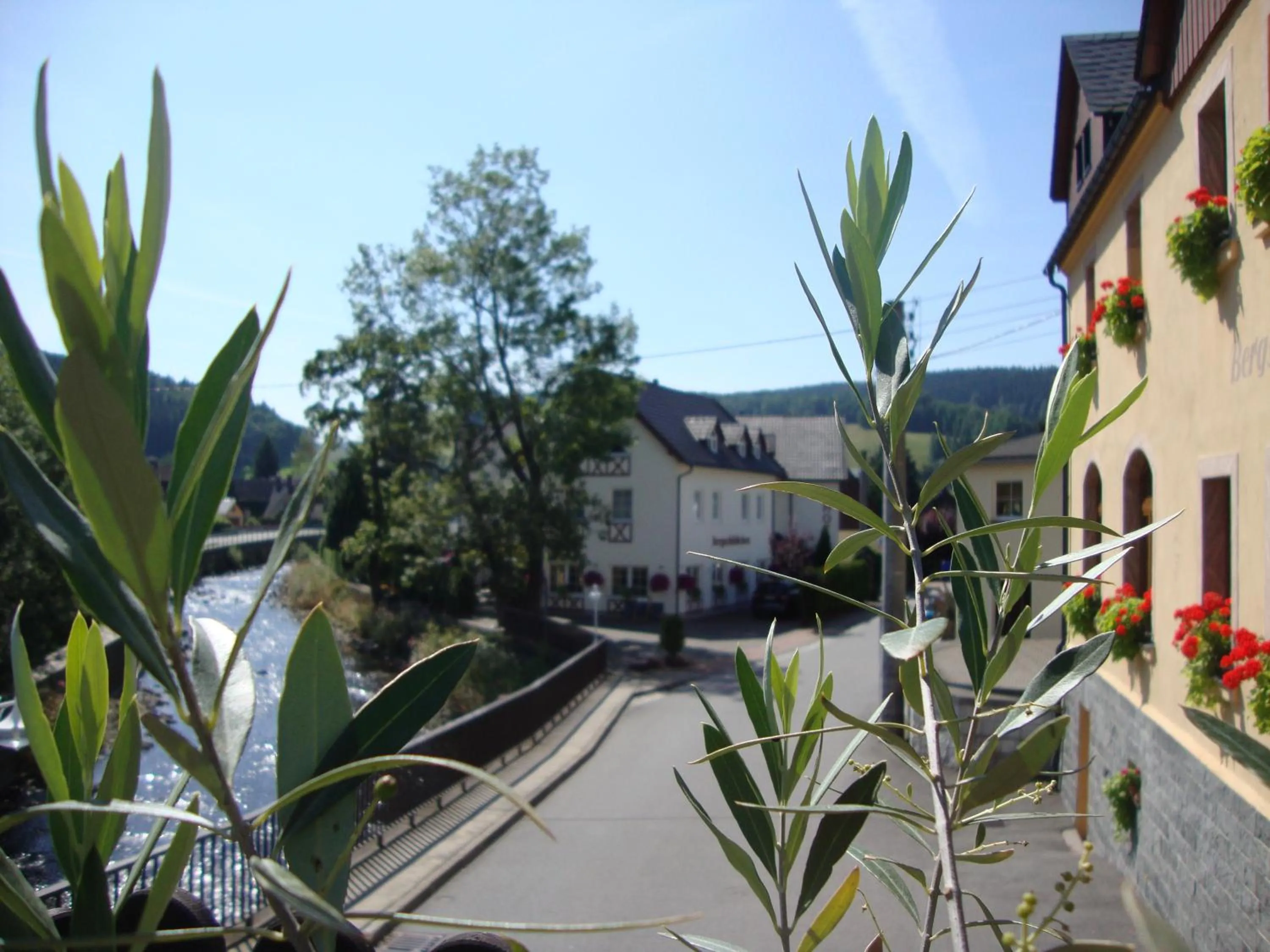 River view in Hotel Bergschlößchen