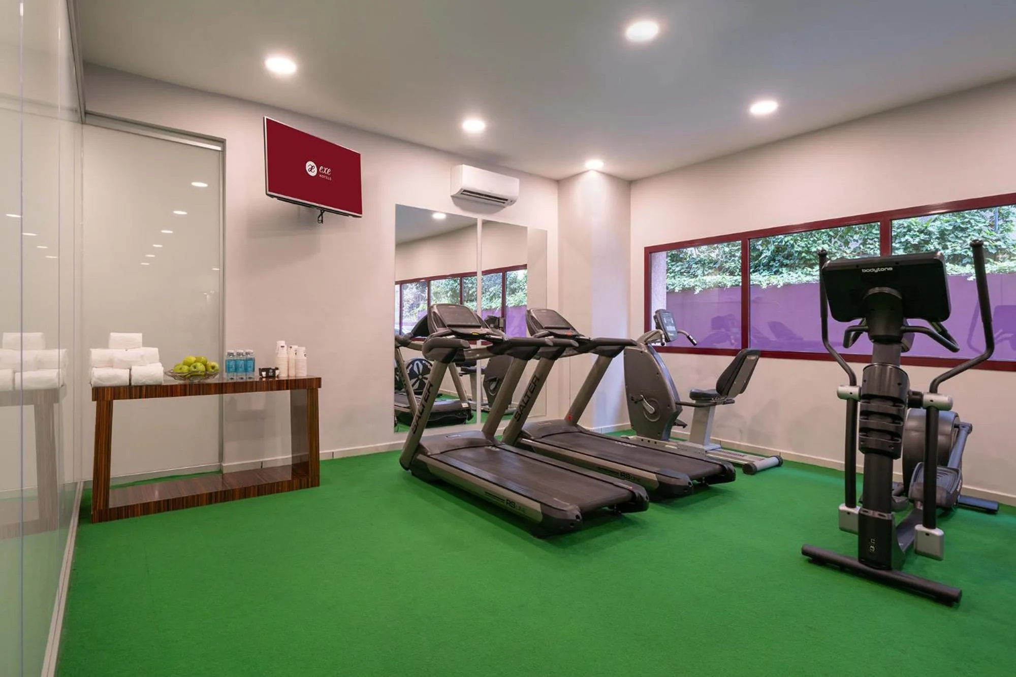 Fitness centre/facilities in Exe Convention Plaza Madrid