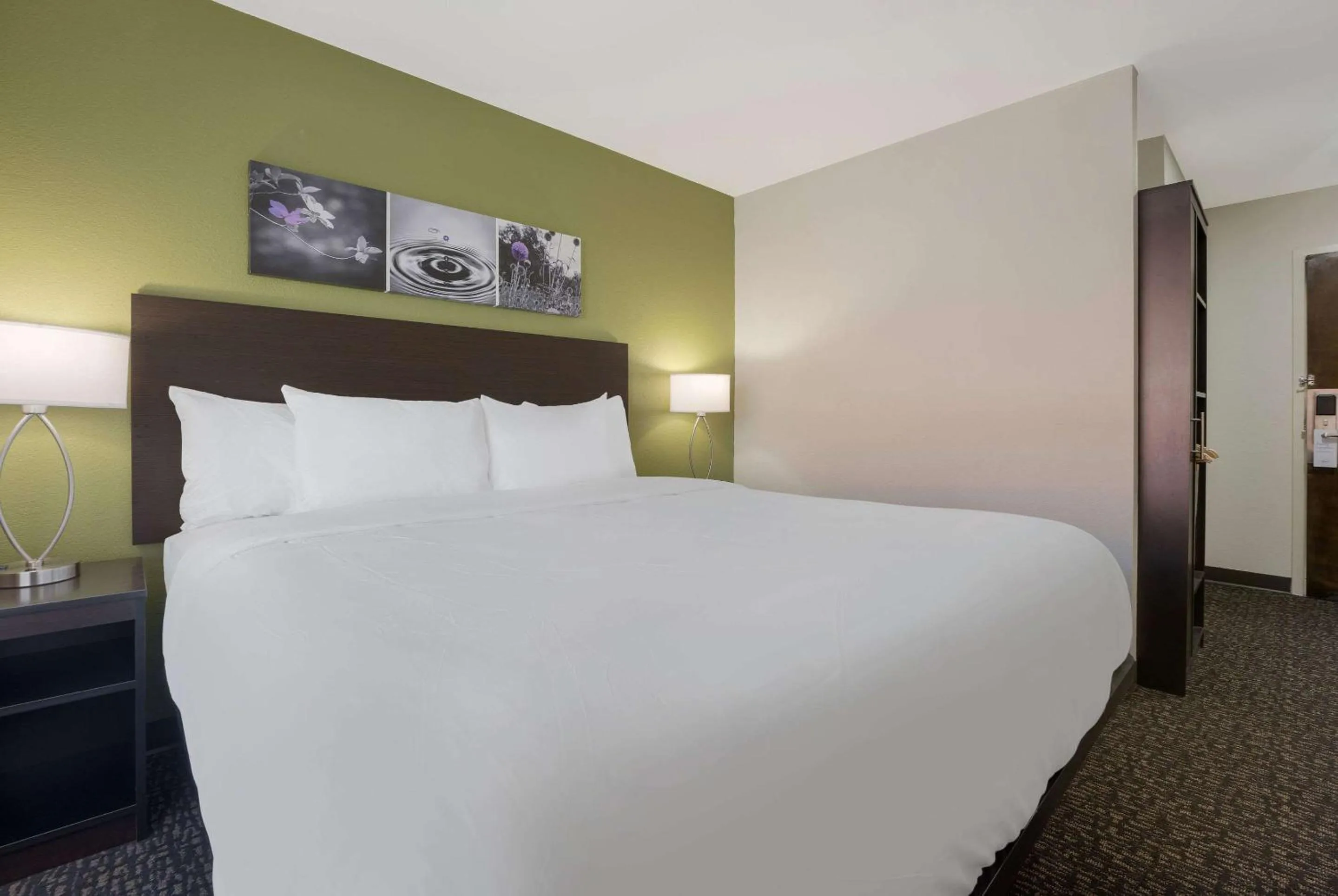 Bedroom, Bed in Sleep Inn Madison