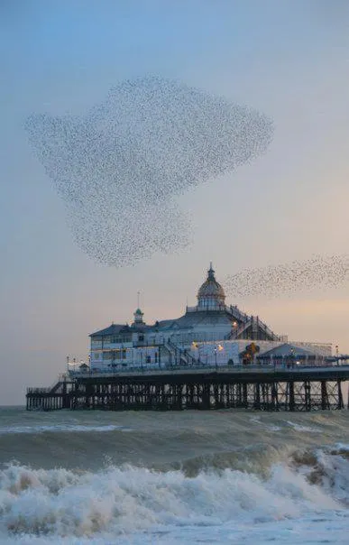 Other in The George Inn