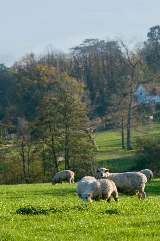 Day in The George Inn