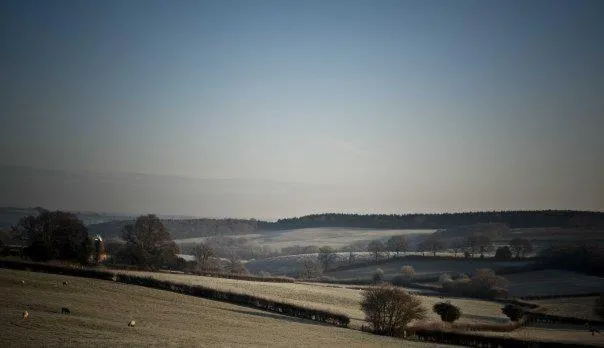 Day in The George Inn