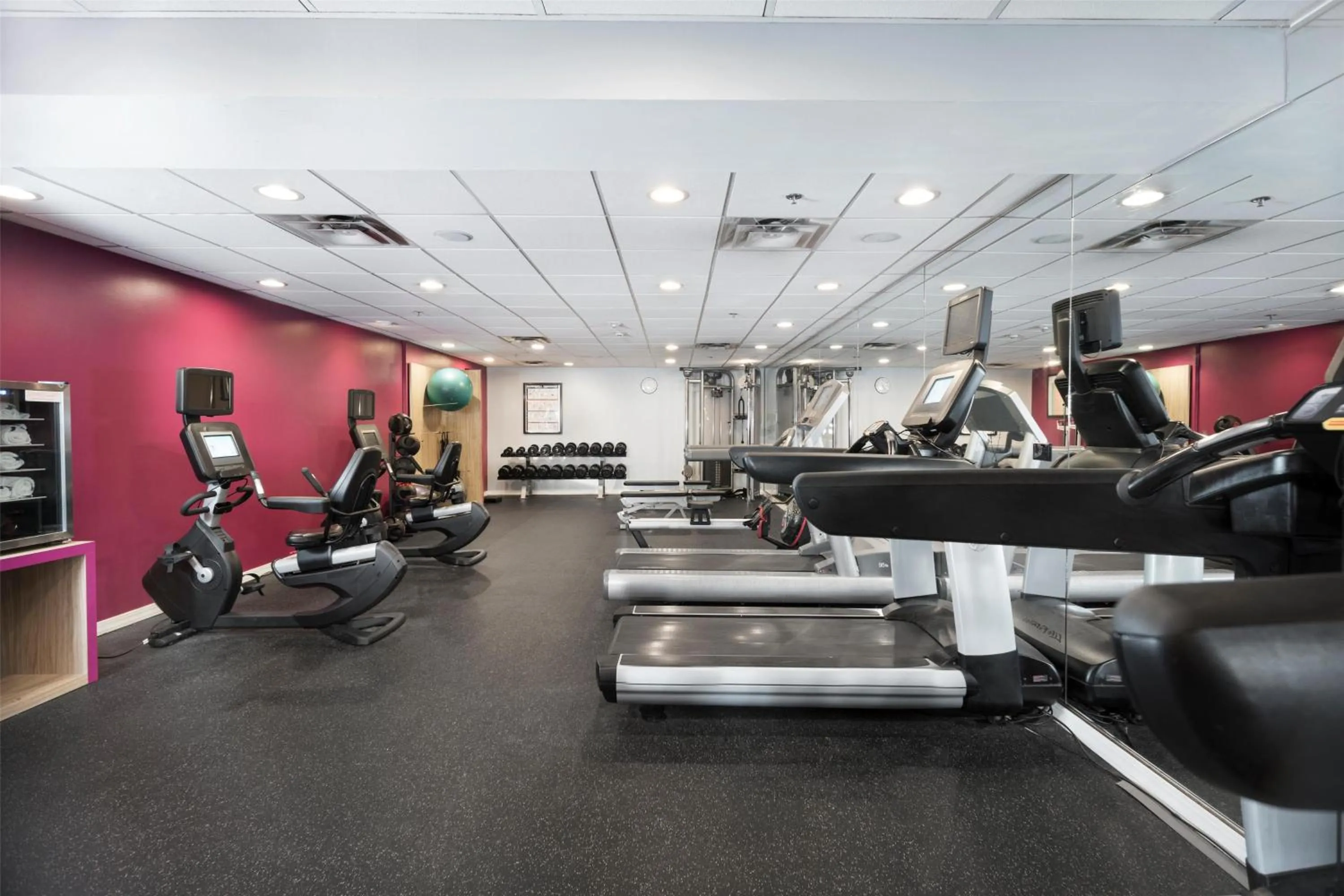 Fitness centre/facilities in Fort Pontchartrain Detroit, a Wyndham Hotel