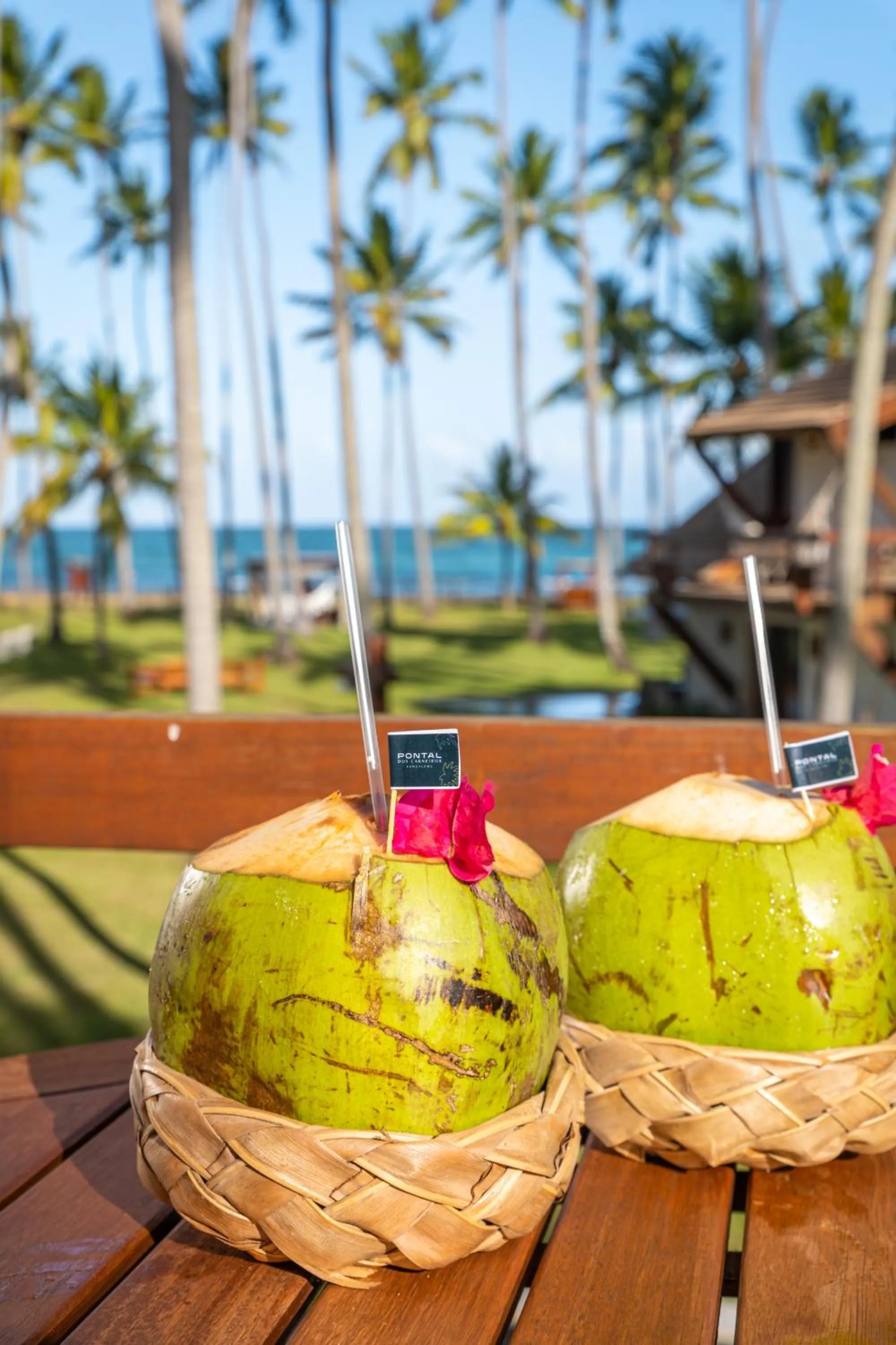 View (from property/room) in Pontal dos Carneiros Beach Bungalows