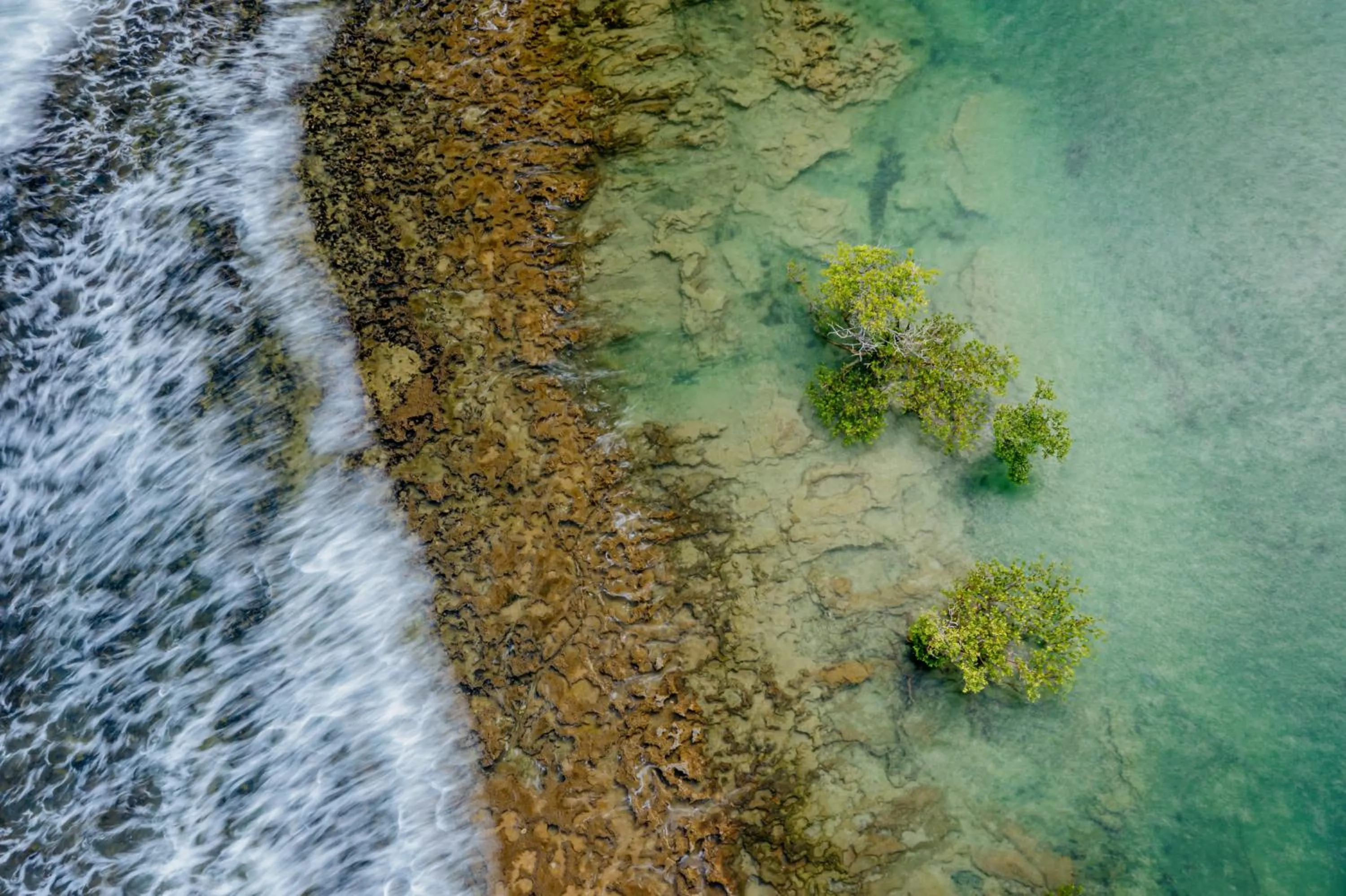 Natural landscape in Pontal dos Carneiros Beach Bungalows