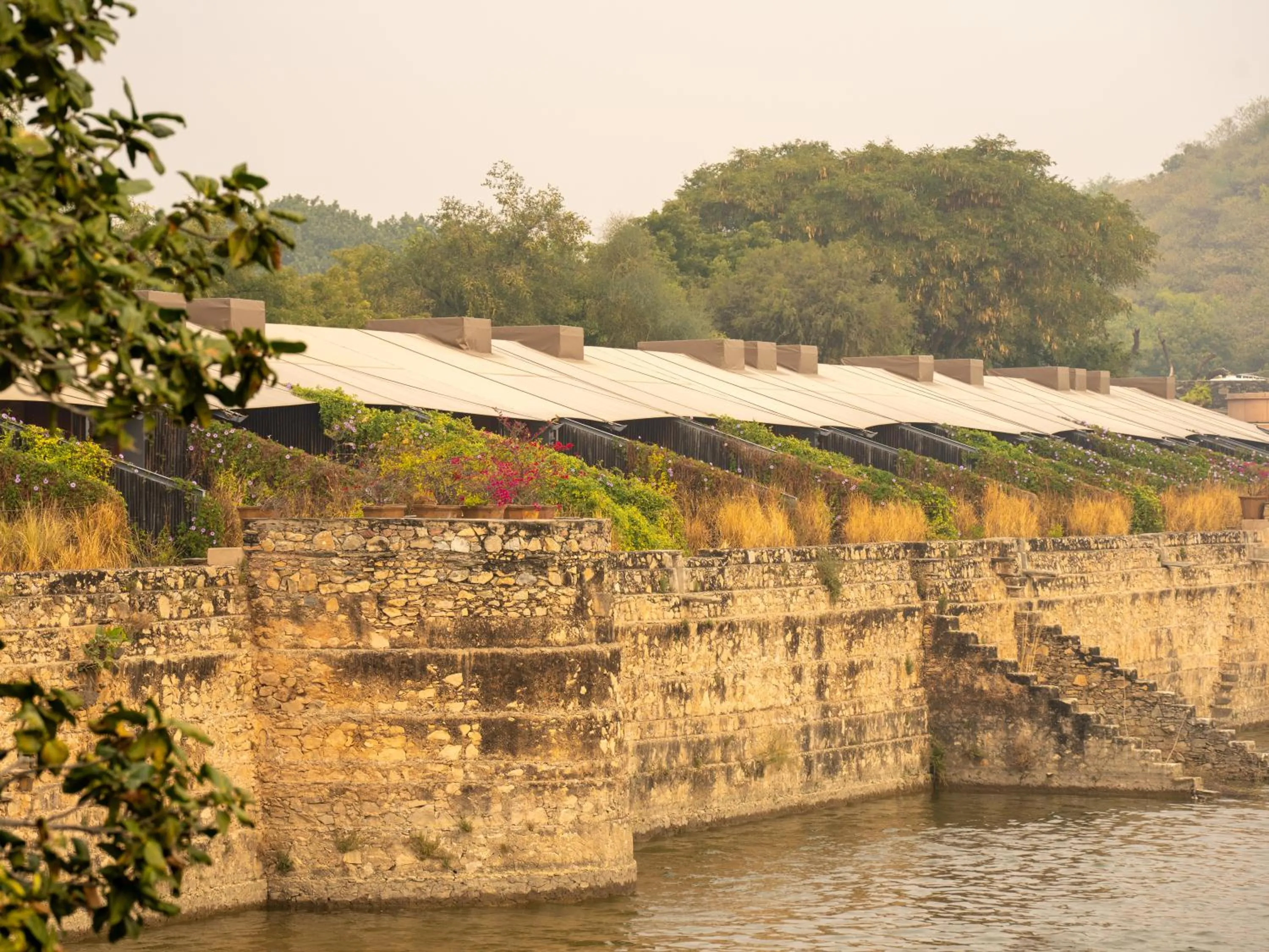 Property building in RAAS Chhatrasagar, Nimaj, District Pali