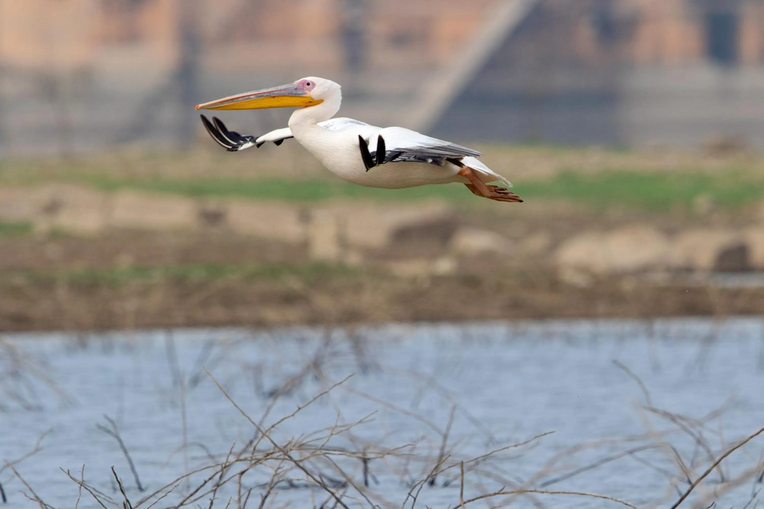 Activities in RAAS Chhatrasagar, Nimaj, District Pali