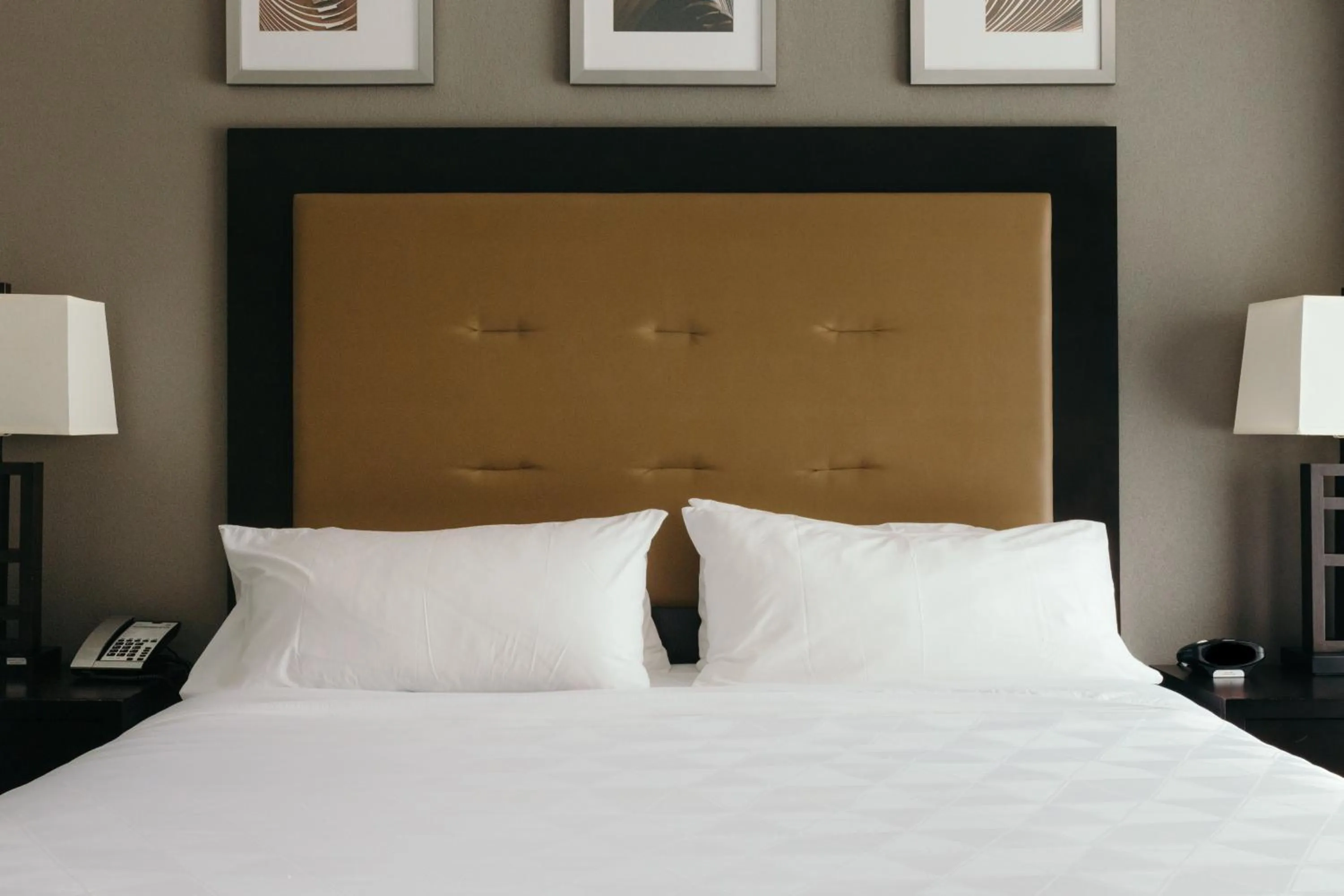 Photo of the whole room, Bed in Holiday Inn and Suites East Peoria by IHG