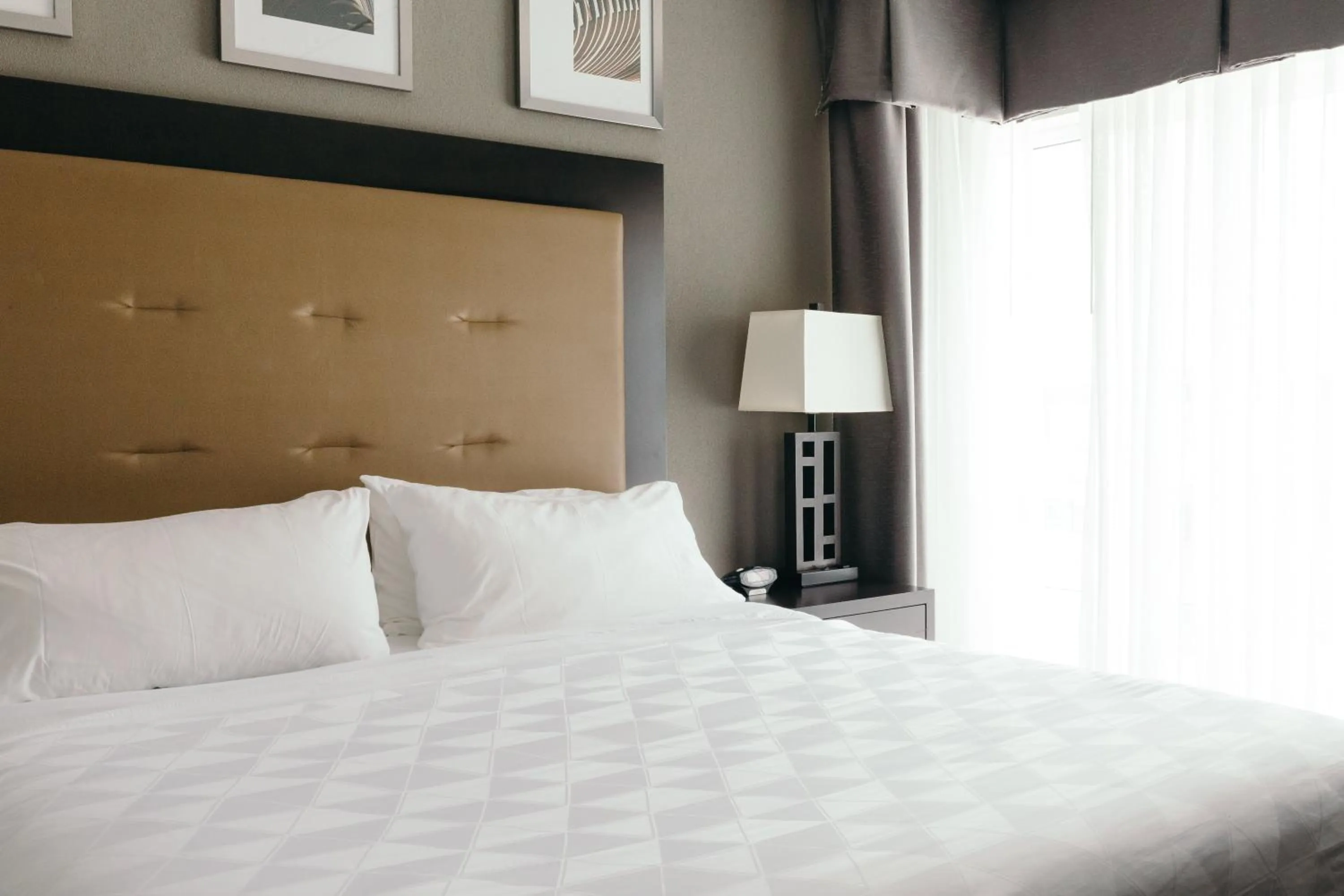 Photo of the whole room, Bed in Holiday Inn and Suites East Peoria by IHG