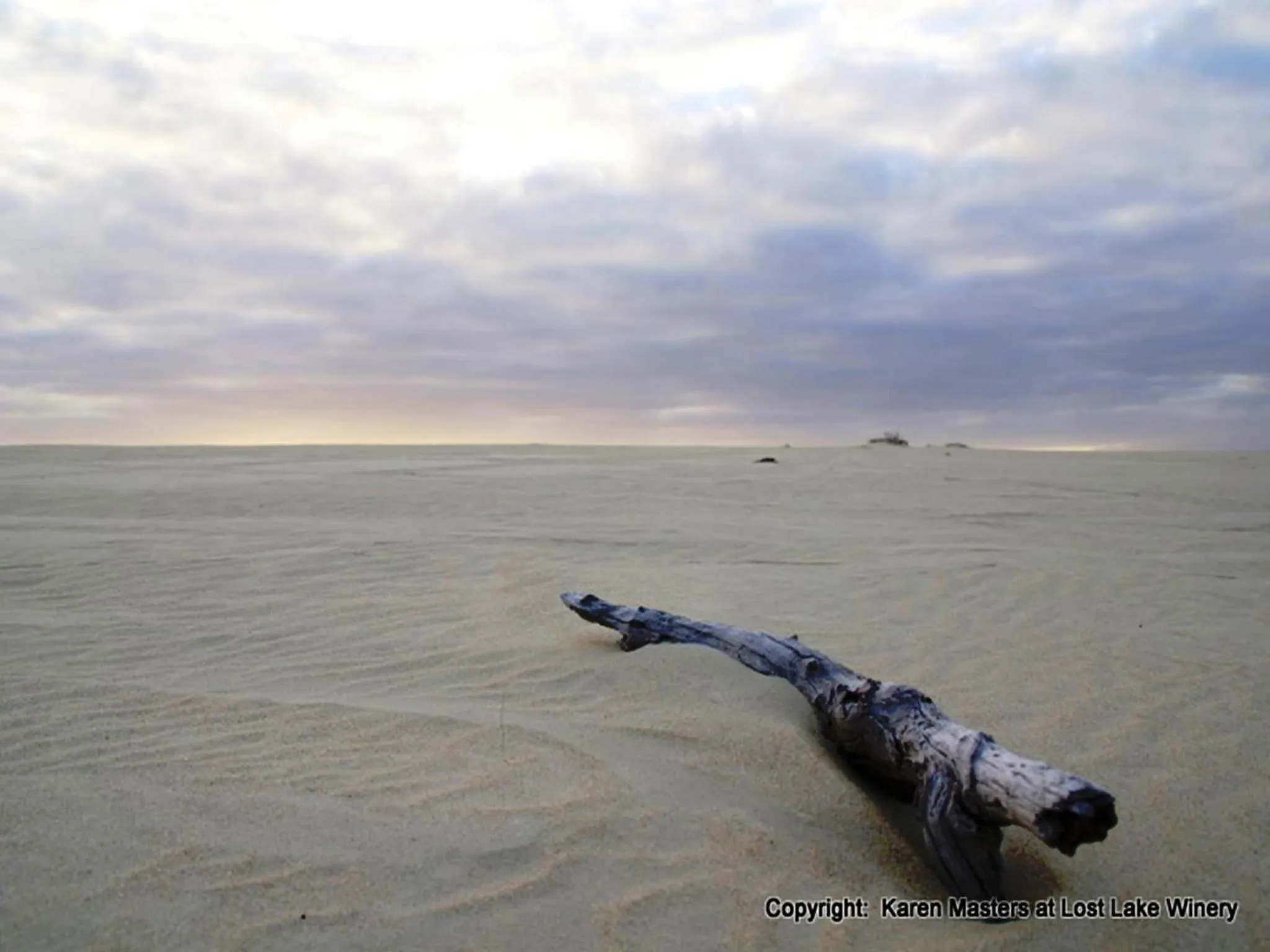 Area and facilities in The Pemberton Hotel
