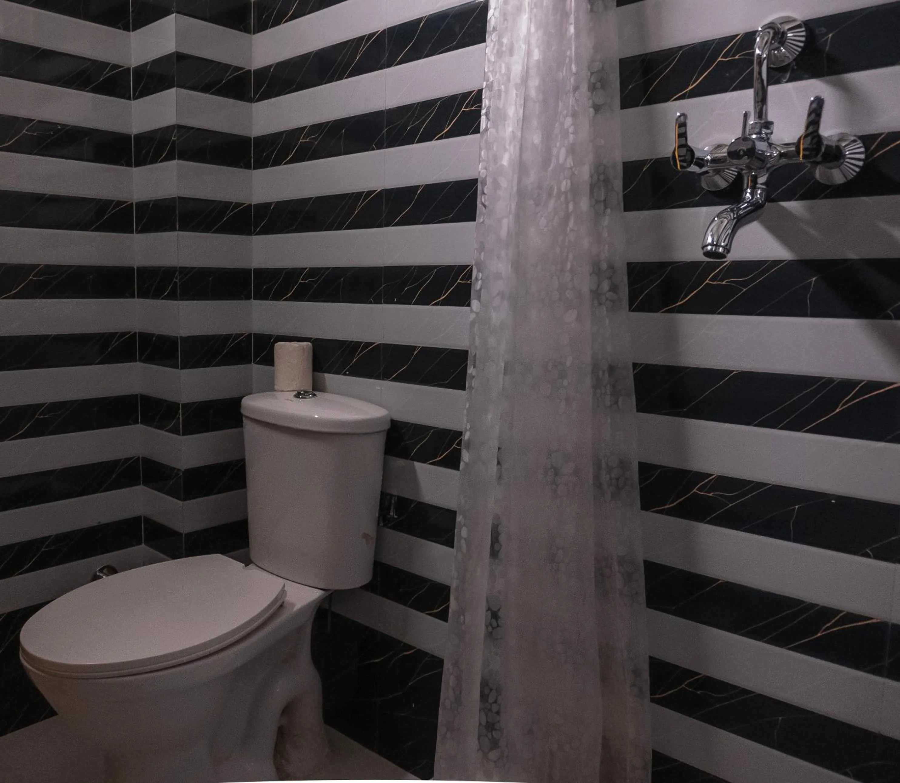 Toilet in Hotel Pratap Bhawan