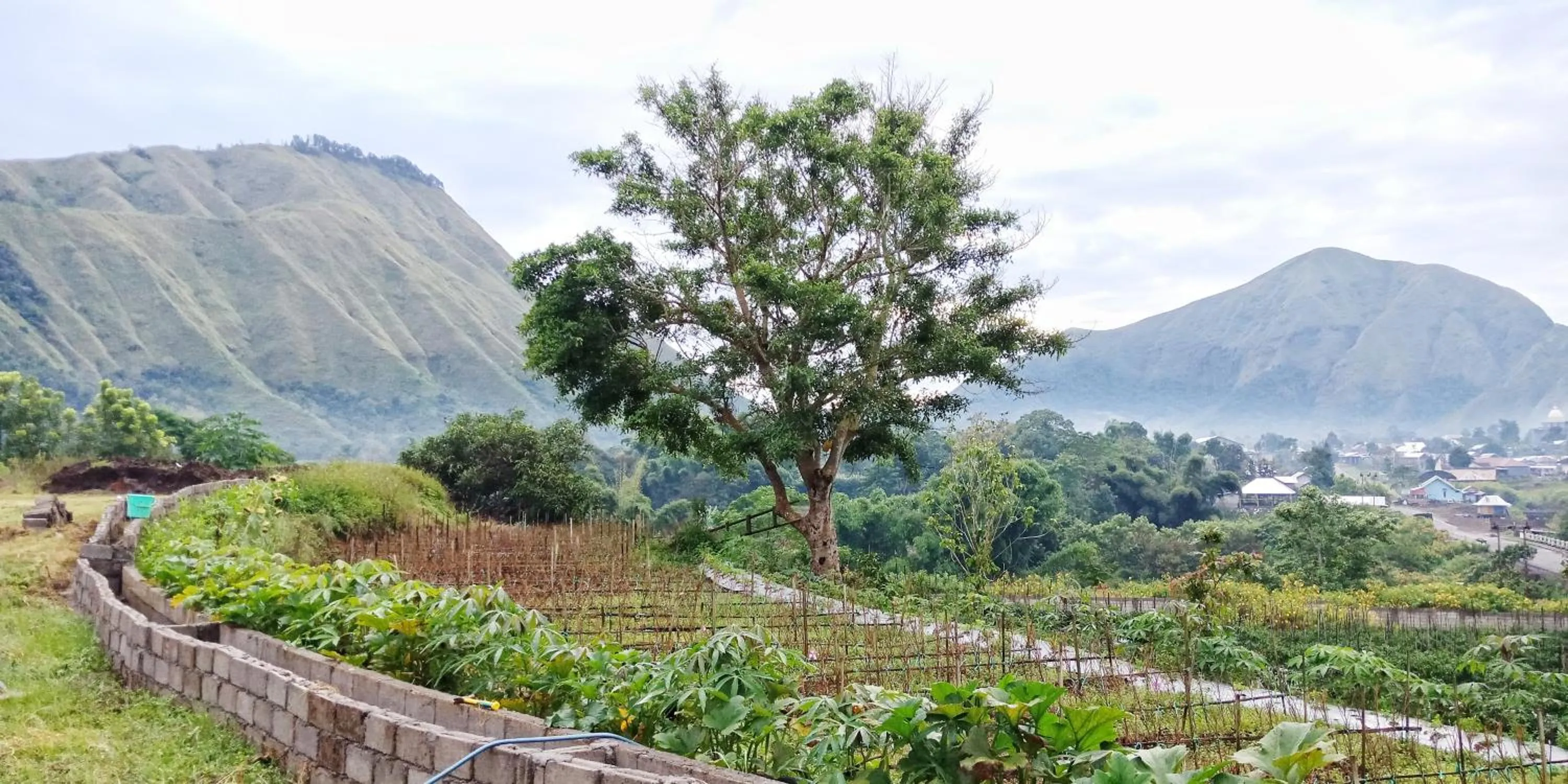 Neighbourhood in Rinjani Hill Hotel