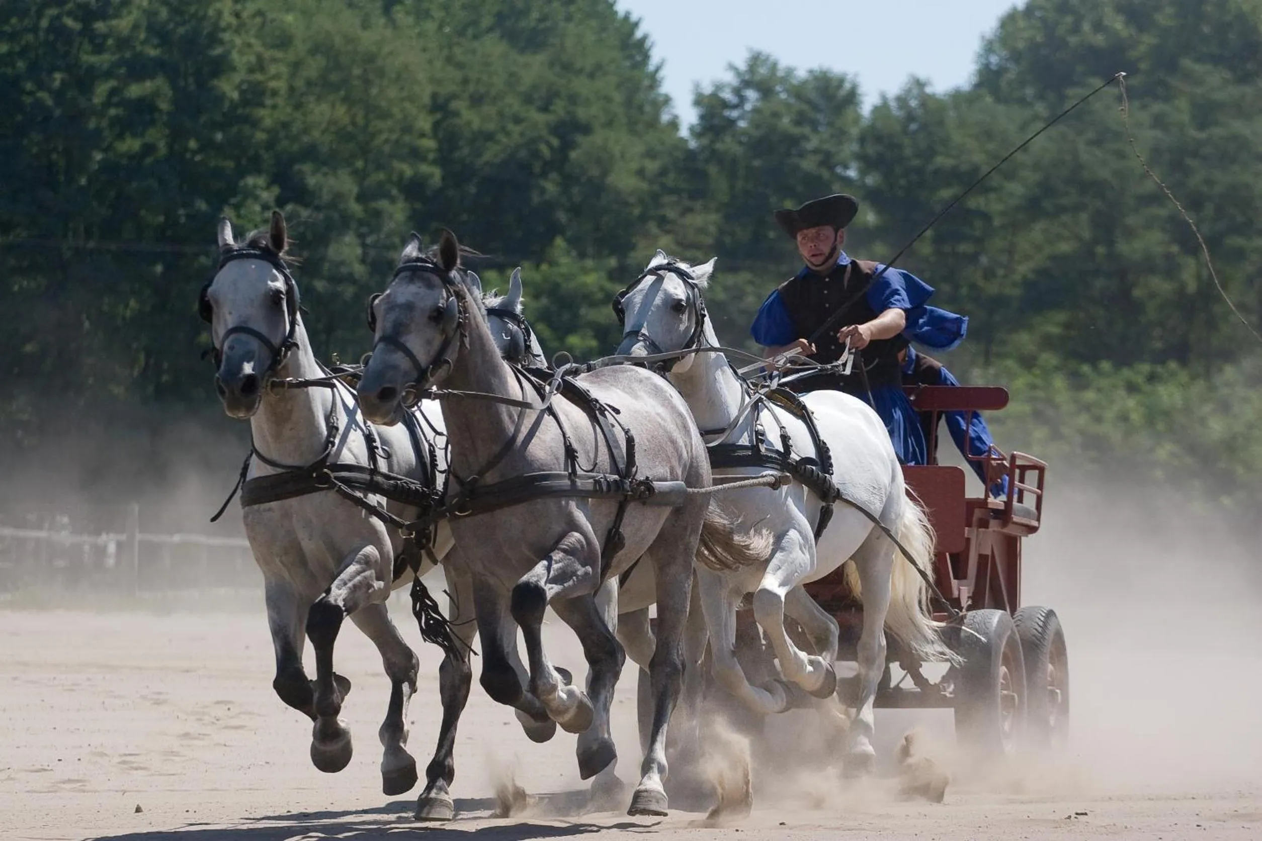 Day in Geréby Kúria Hotel és Lovasudvar