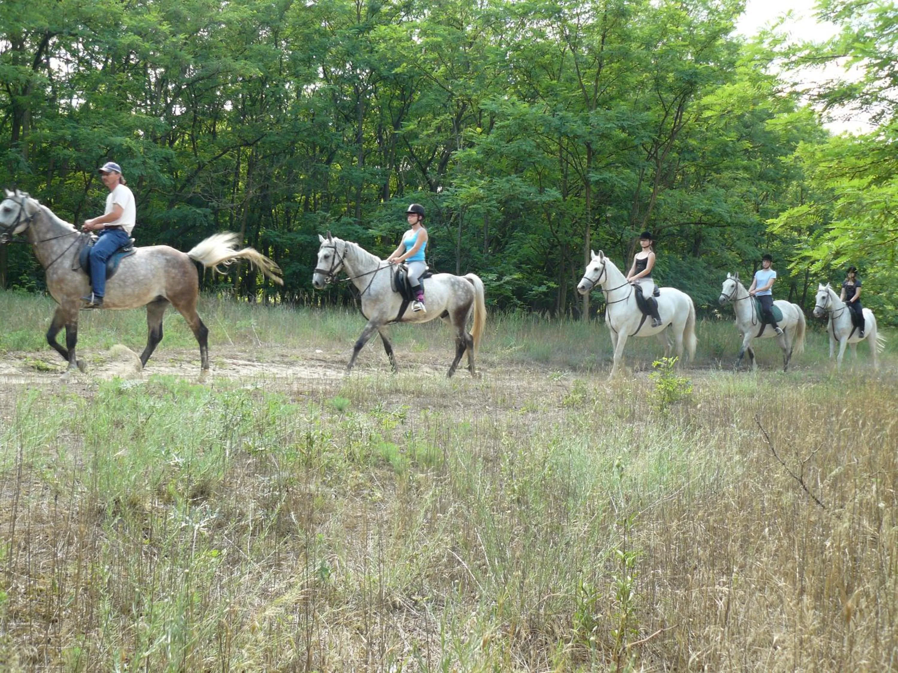 Horse-riding in Geréby Kúria Hotel és Lovasudvar
