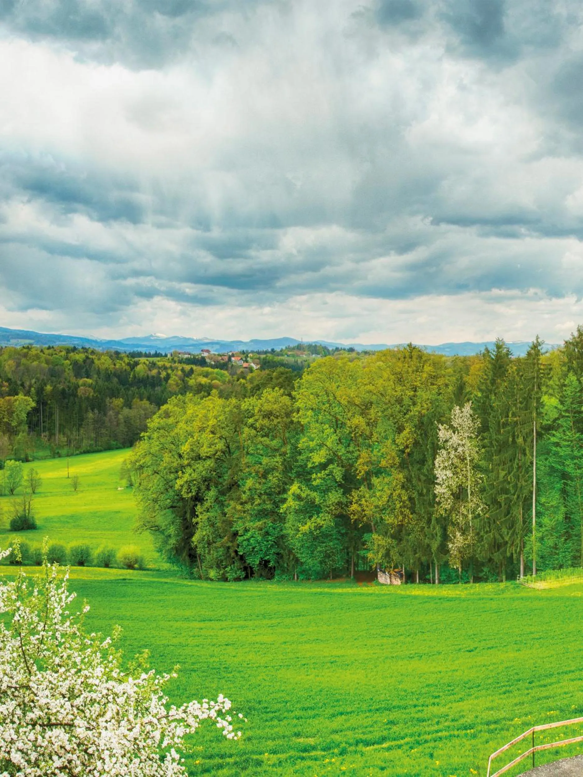 Garden view in Frühstückspension Zanglhof