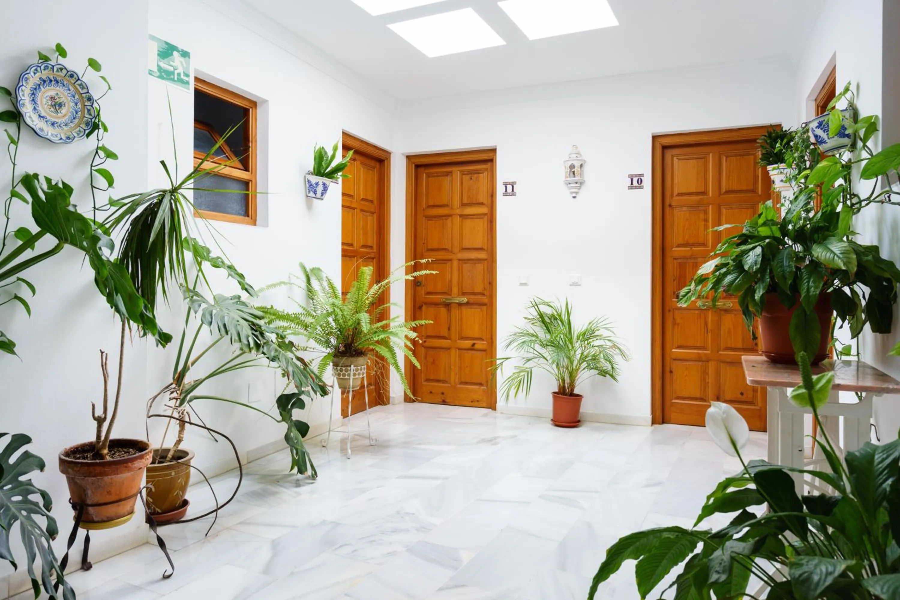 Property building in Apartamentos Pepe Mesa