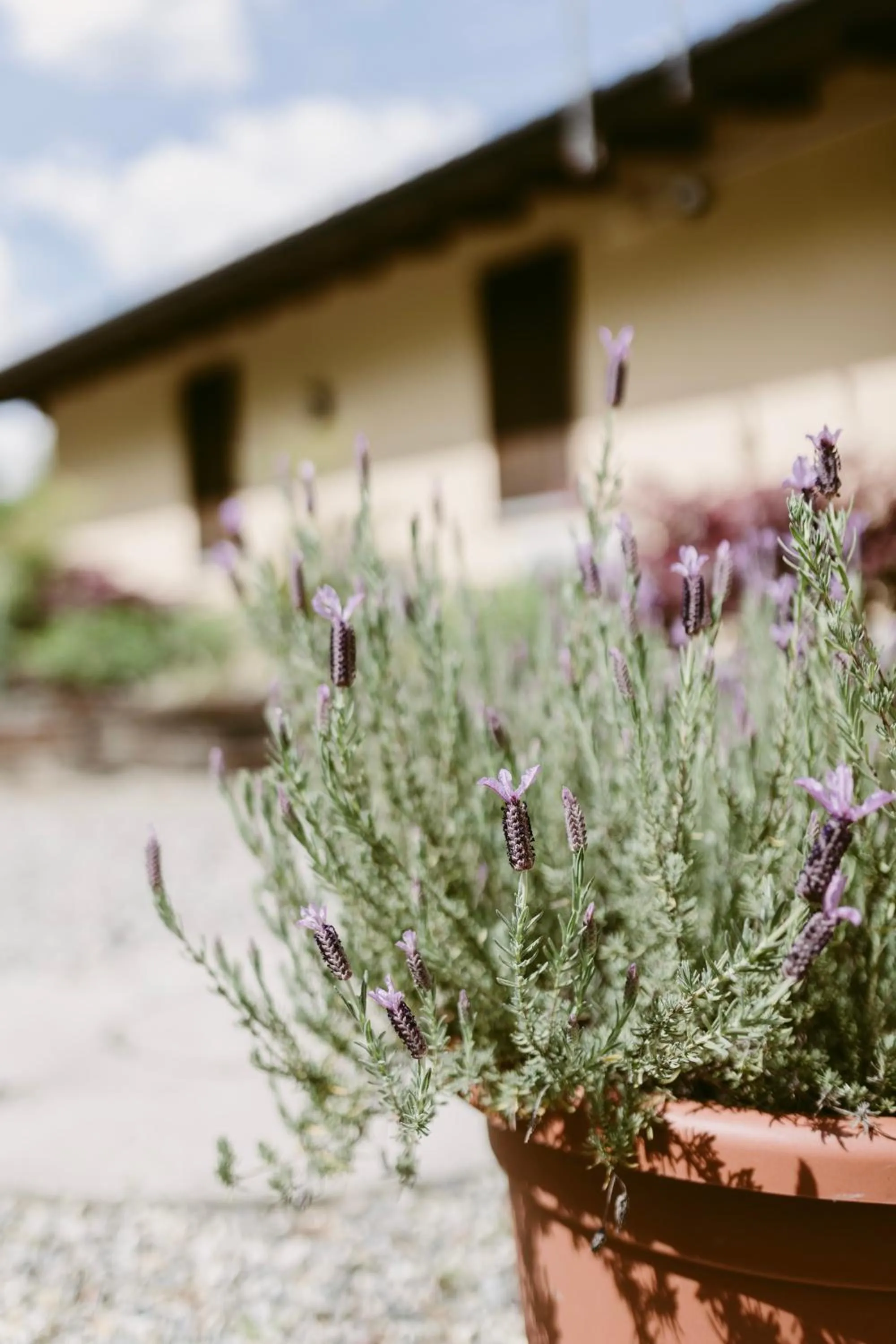 LA CASETTA Malpensa Guesthouse