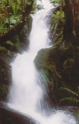 Hiking in Las Fontaninas