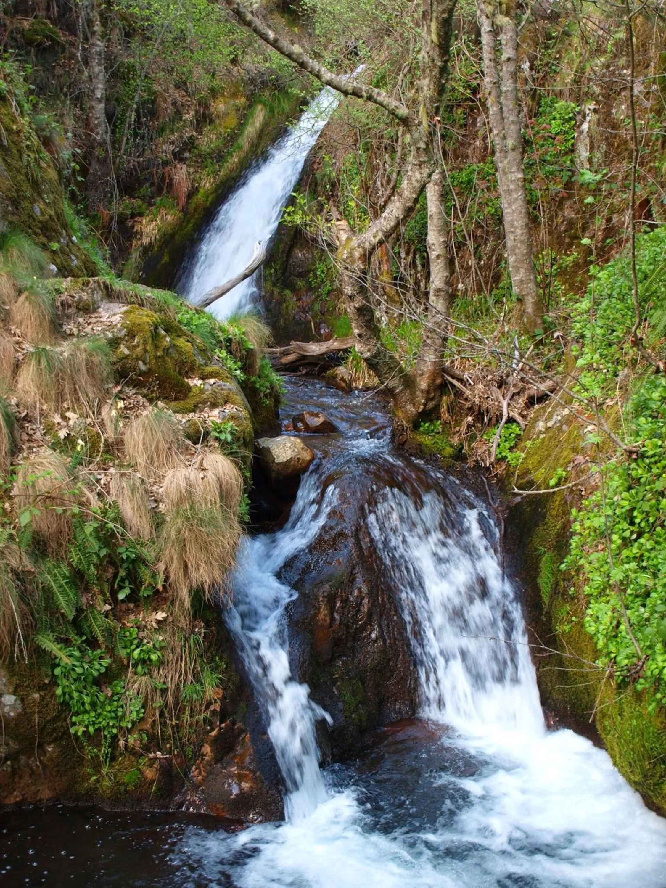 Hiking in Las Fontaninas