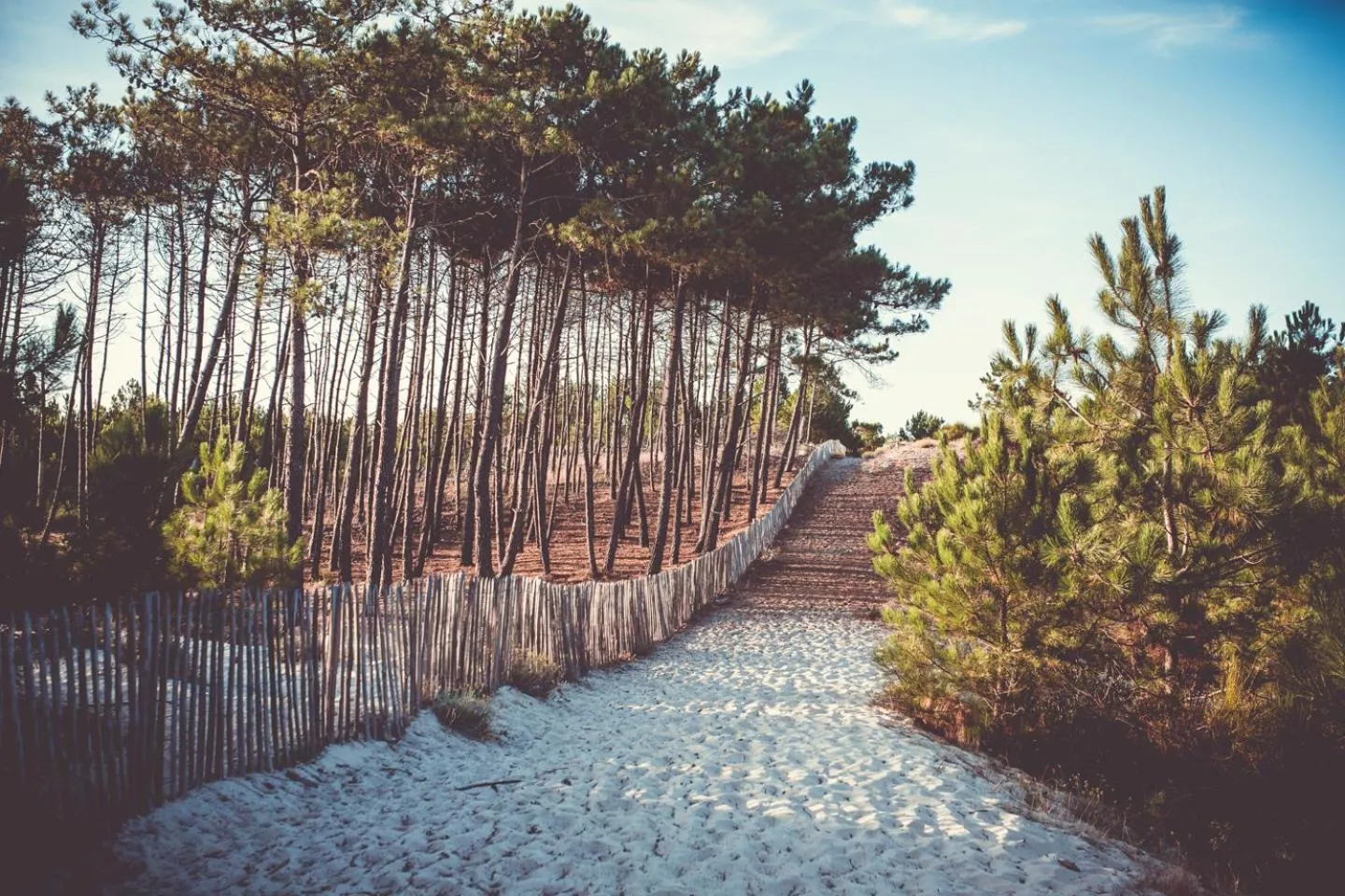 Natural landscape in Single Fin Hotel & Lodge