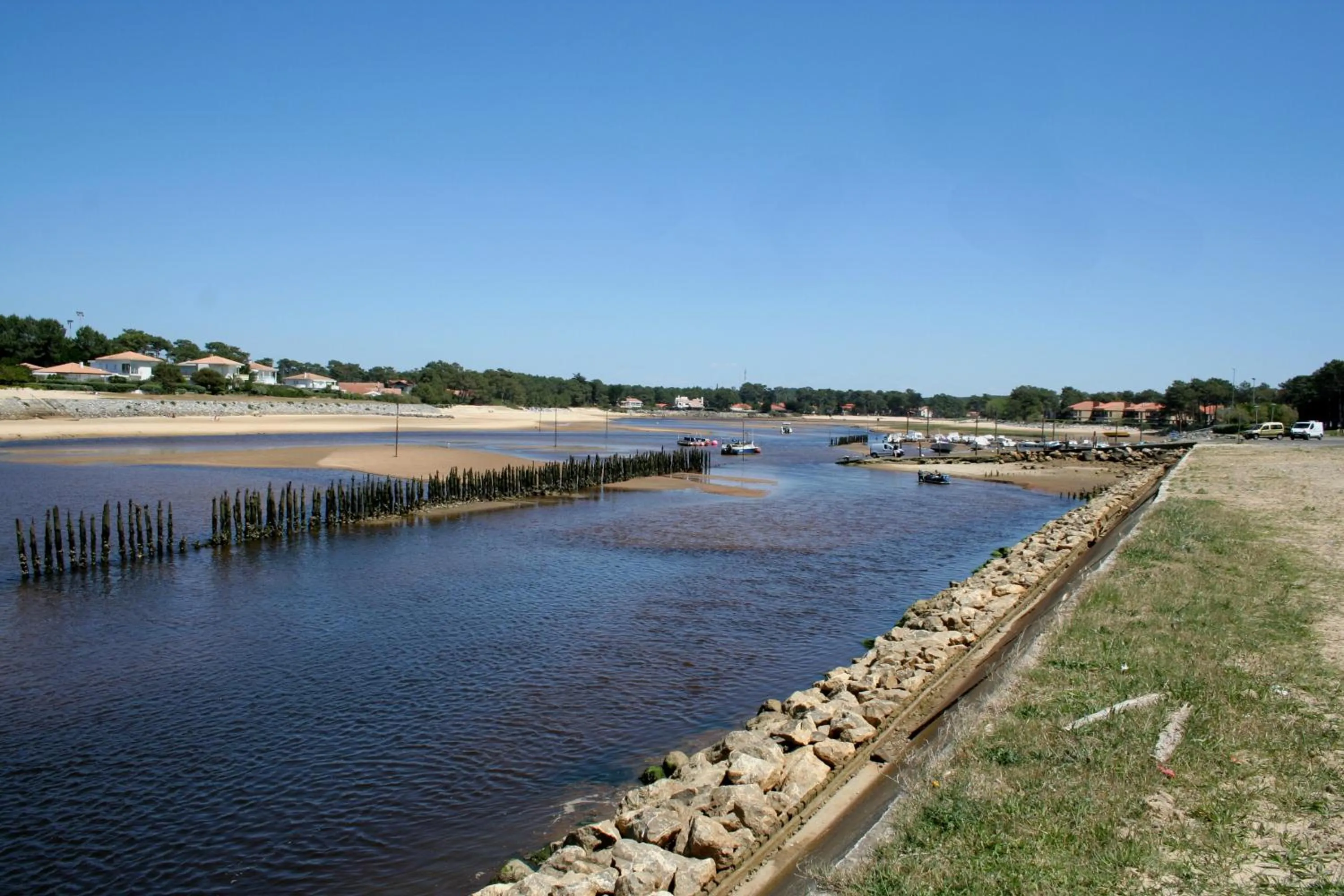 Area and facilities in Single Fin Hotel & Lodge