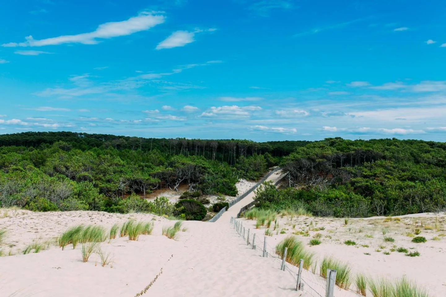 Off site in Single Fin Hotel & Lodge