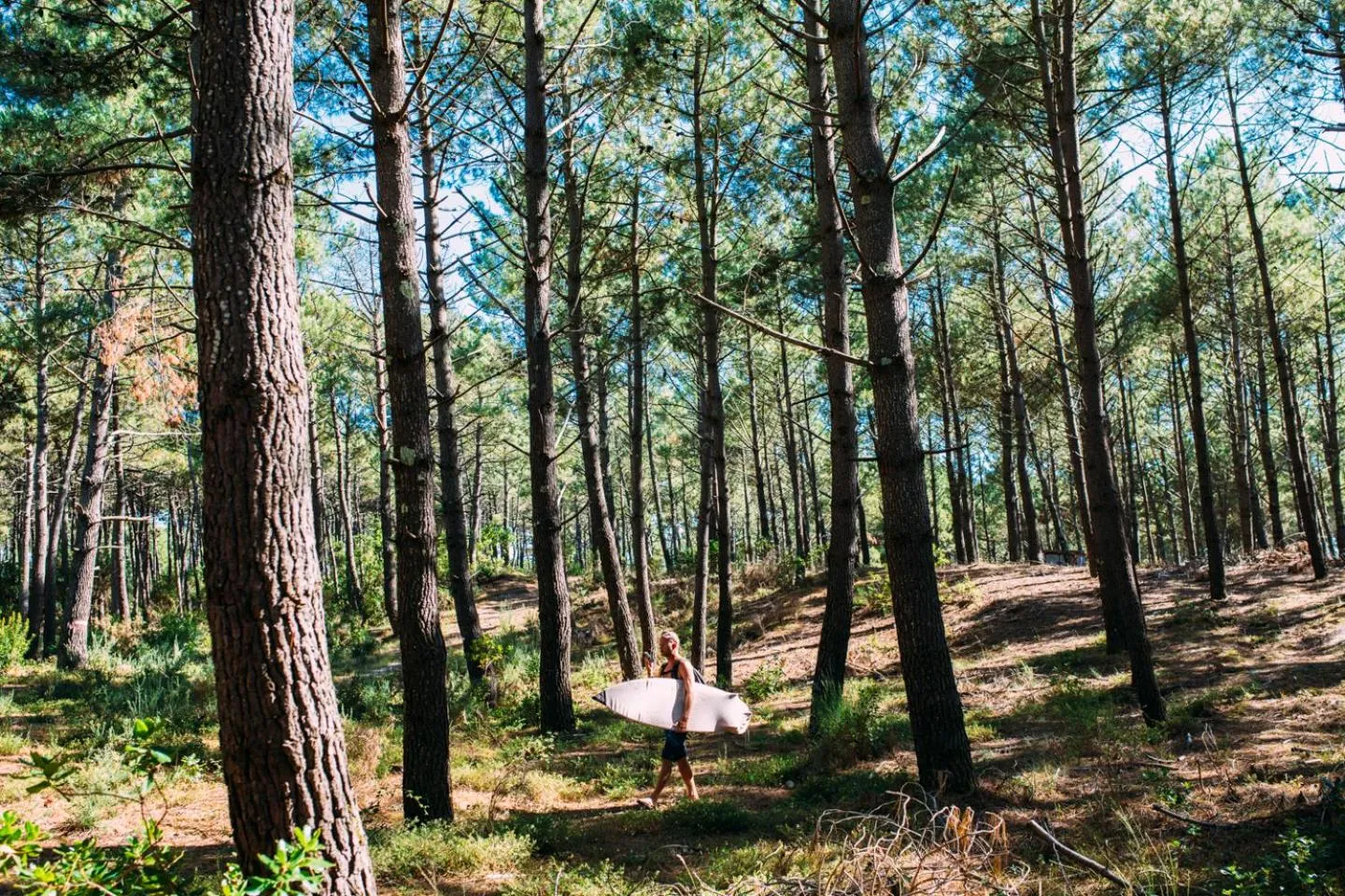 Natural landscape in Single Fin Hotel & Lodge