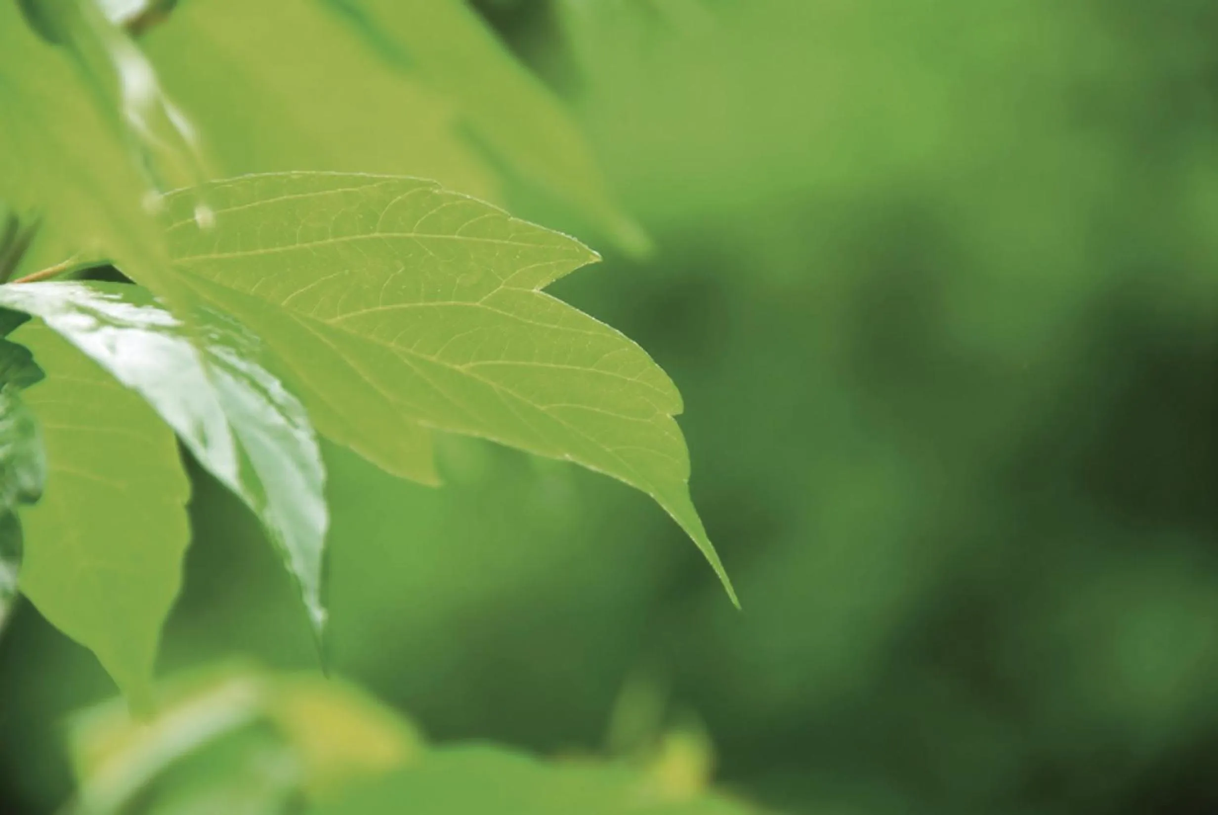 Other in Hotel Geerts