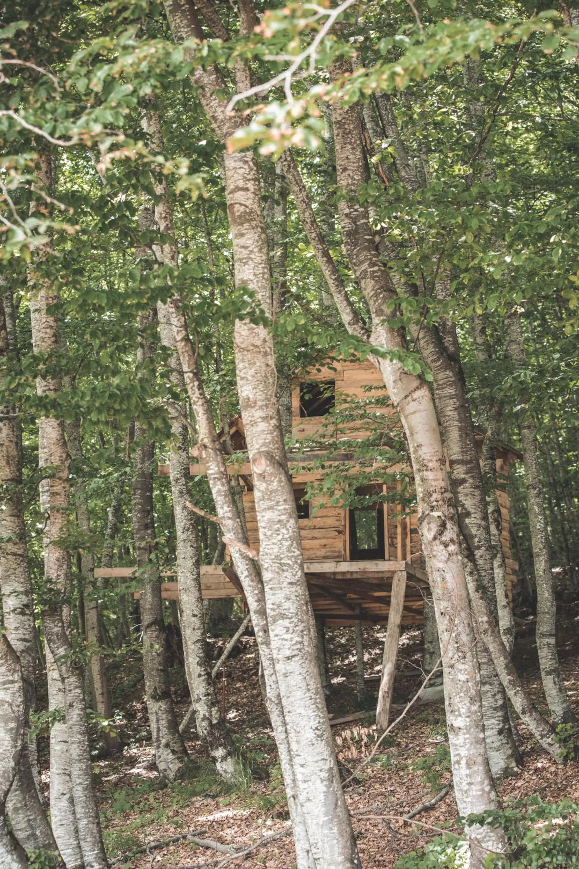 Natural landscape in Sfendamos Wood Village