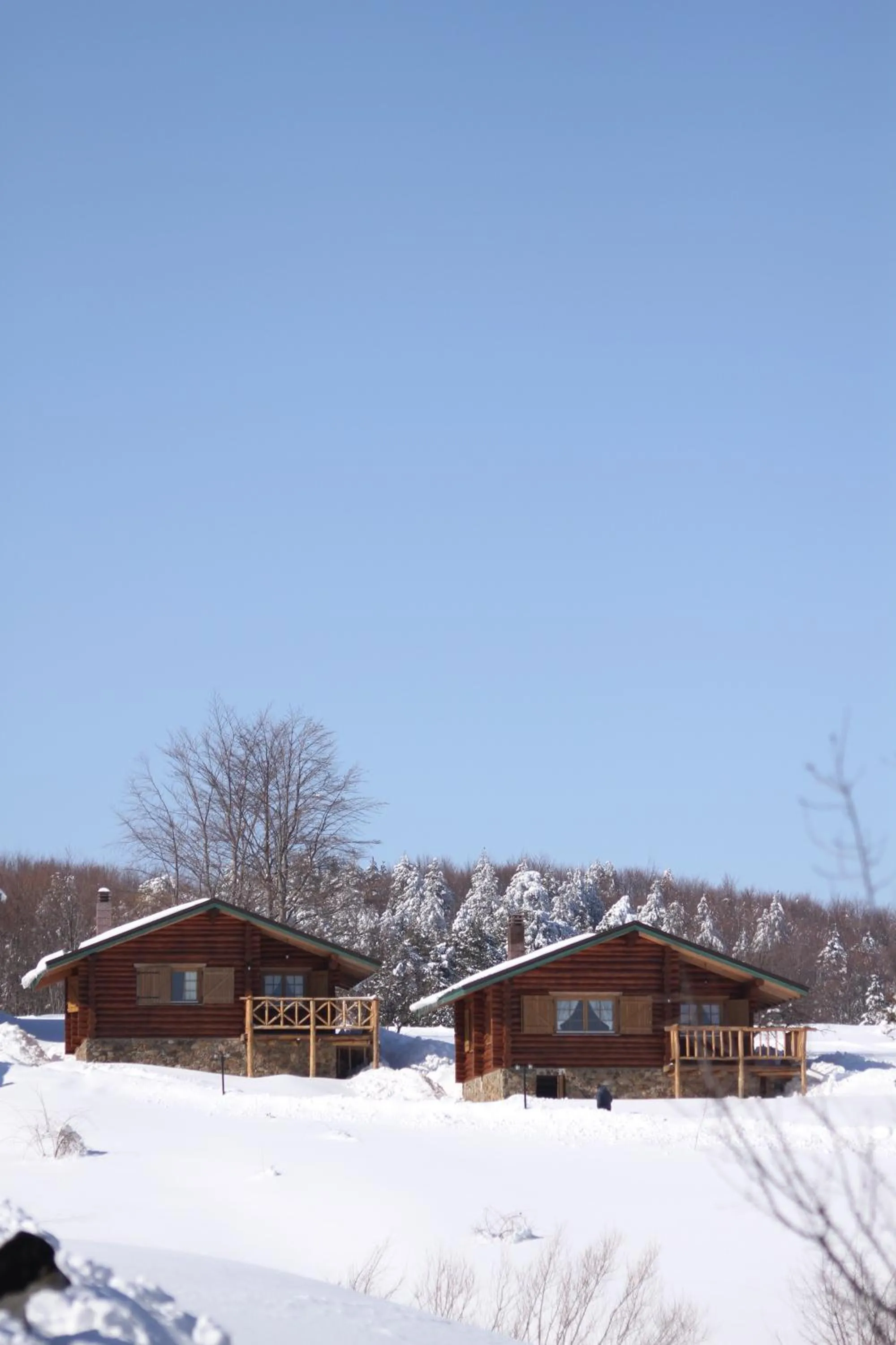 Neighbourhood in Sfendamos Wood Village