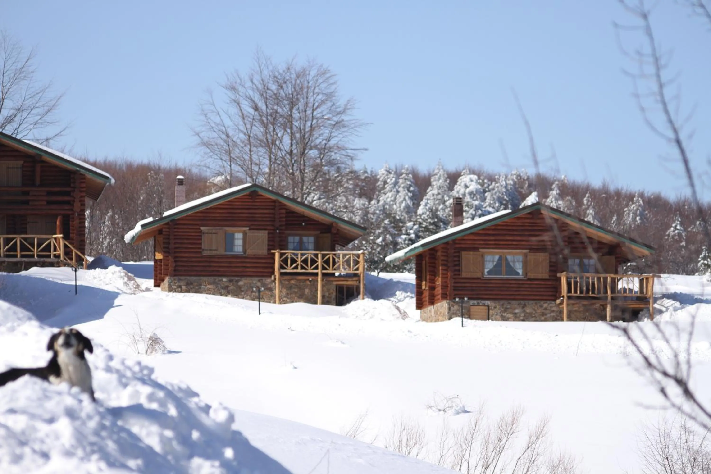 Property building in Sfendamos Wood Village