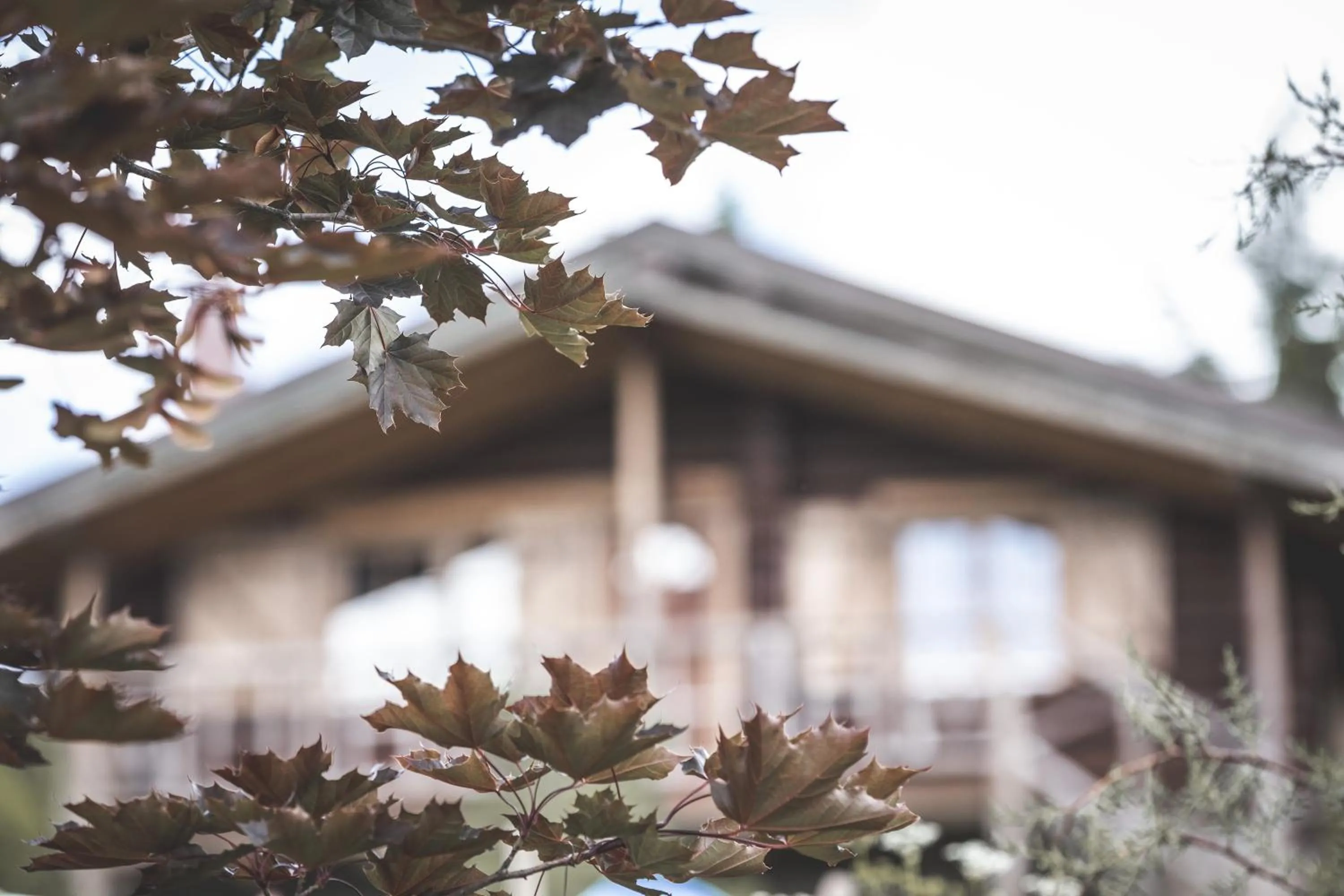 Autumn in Sfendamos Wood Village
