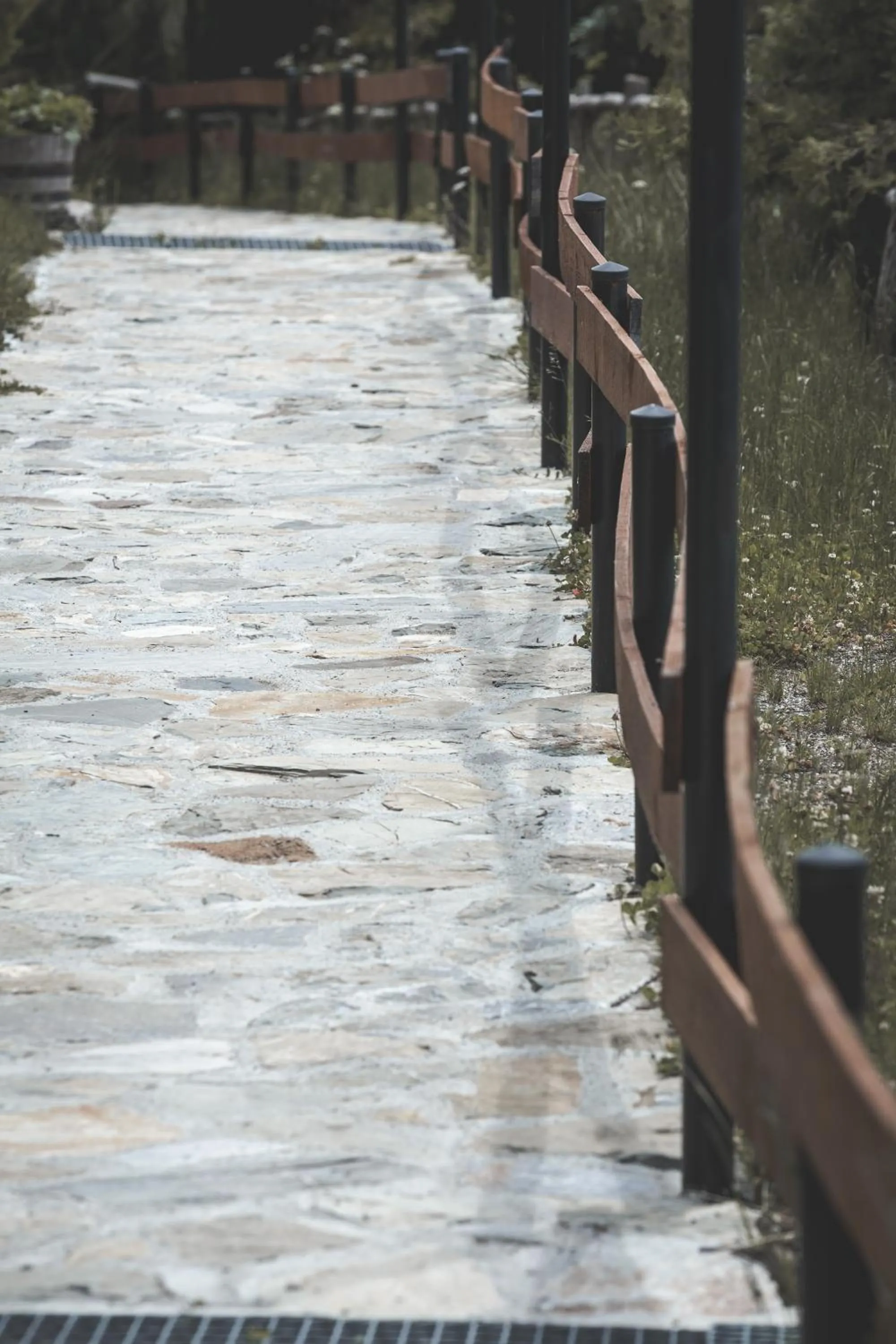 Activities in Sfendamos Wood Village