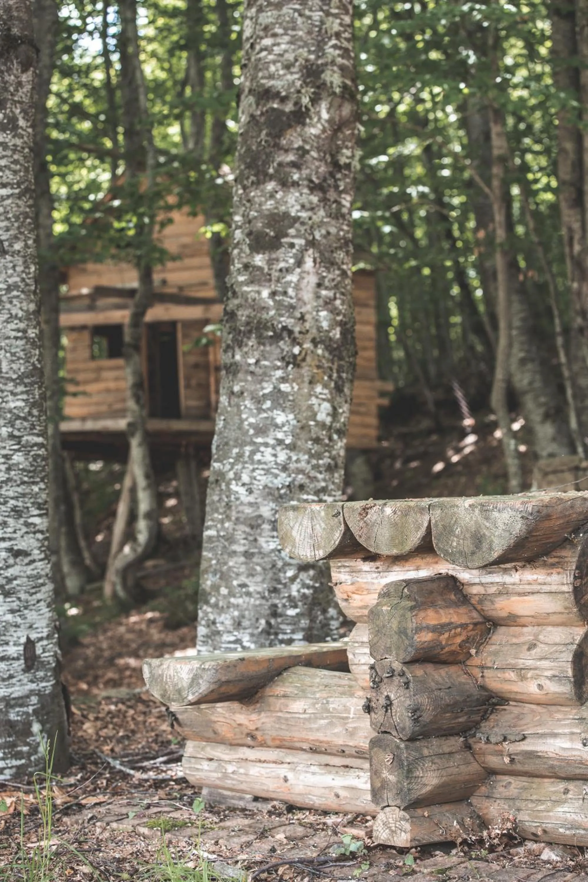 Activities in Sfendamos Wood Village