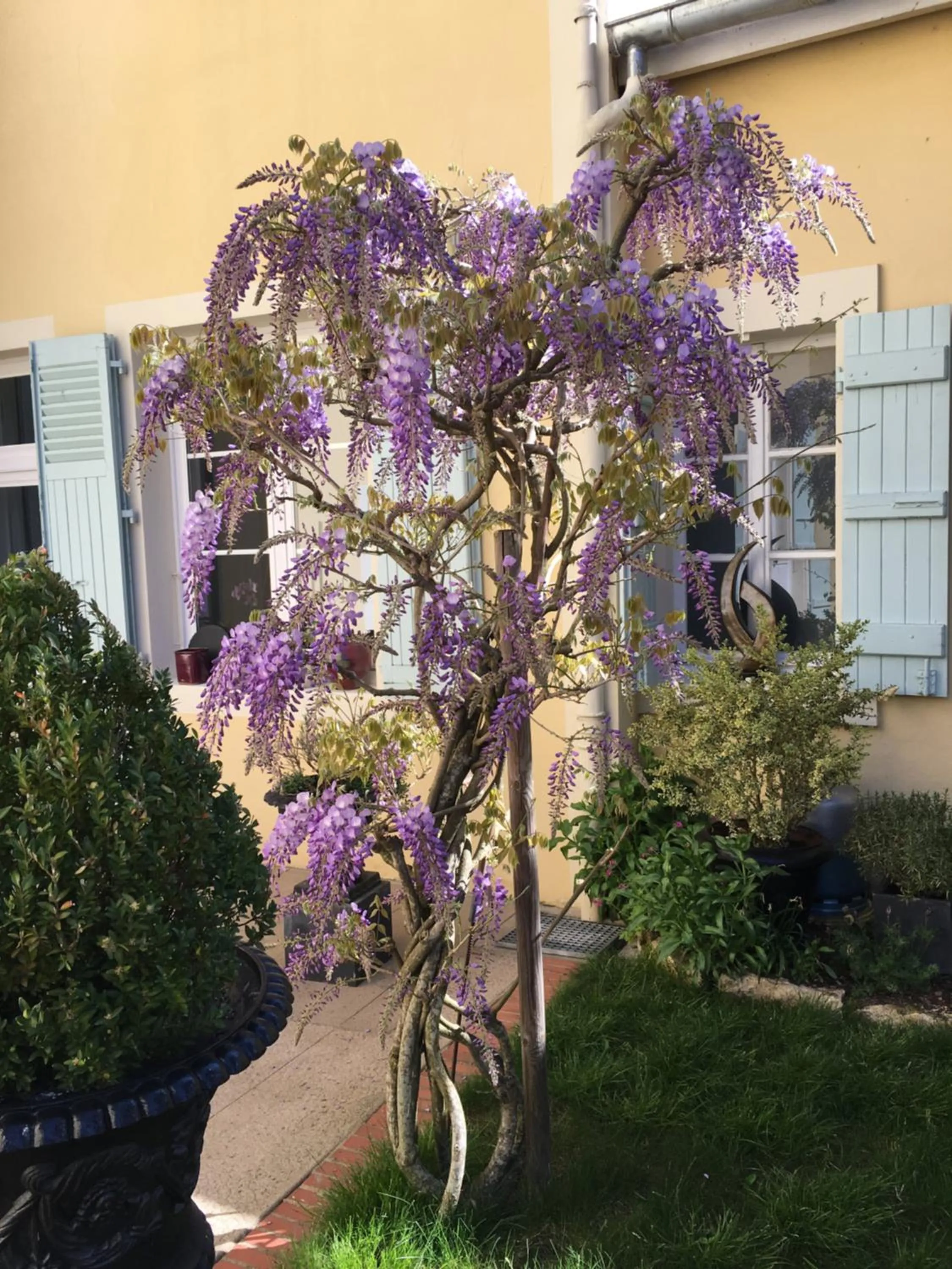 Garden view in Chambres d'Hôte Le Clos de L'Argolay
