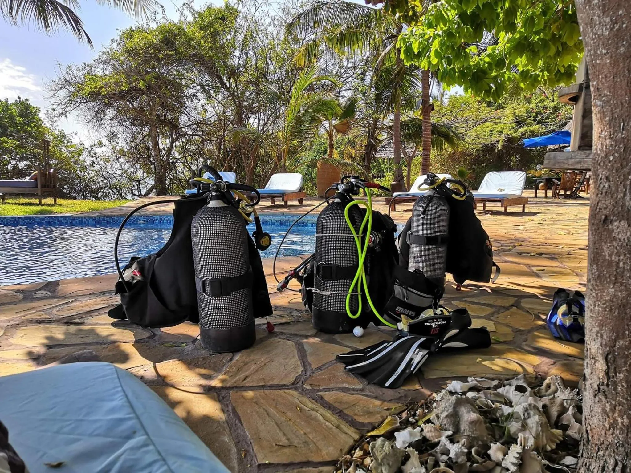 Diving in Fumba Beach Lodge